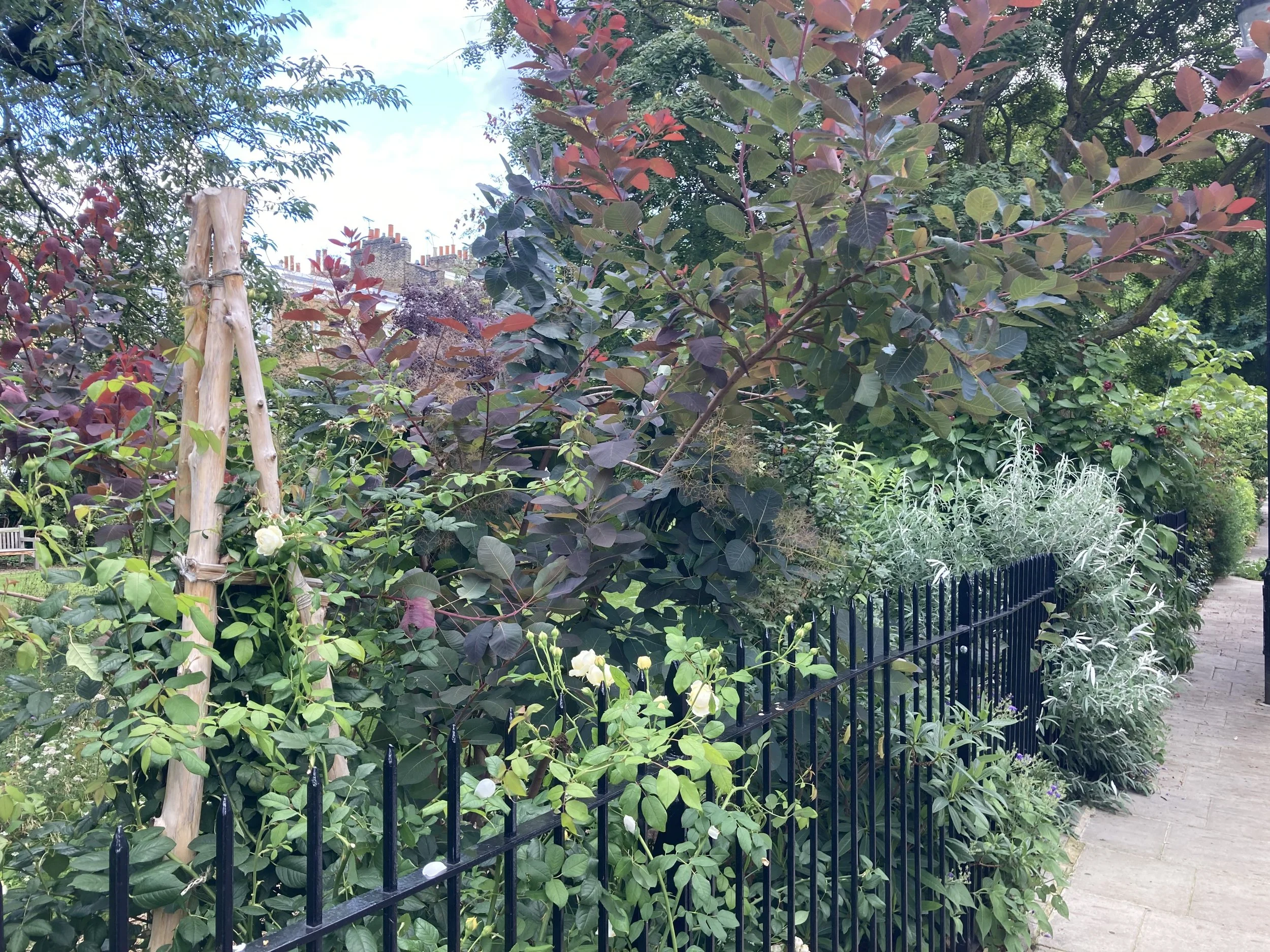 IMG_3956.jpeg