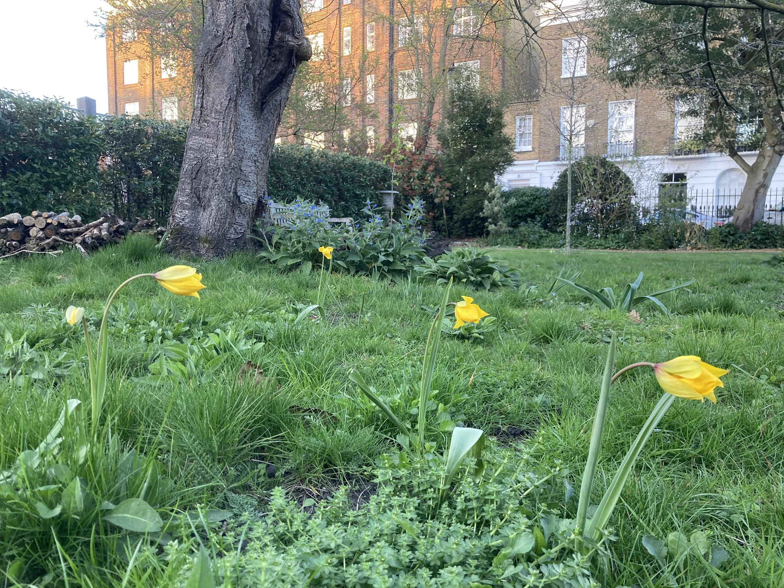 IMG_9677.jpeg