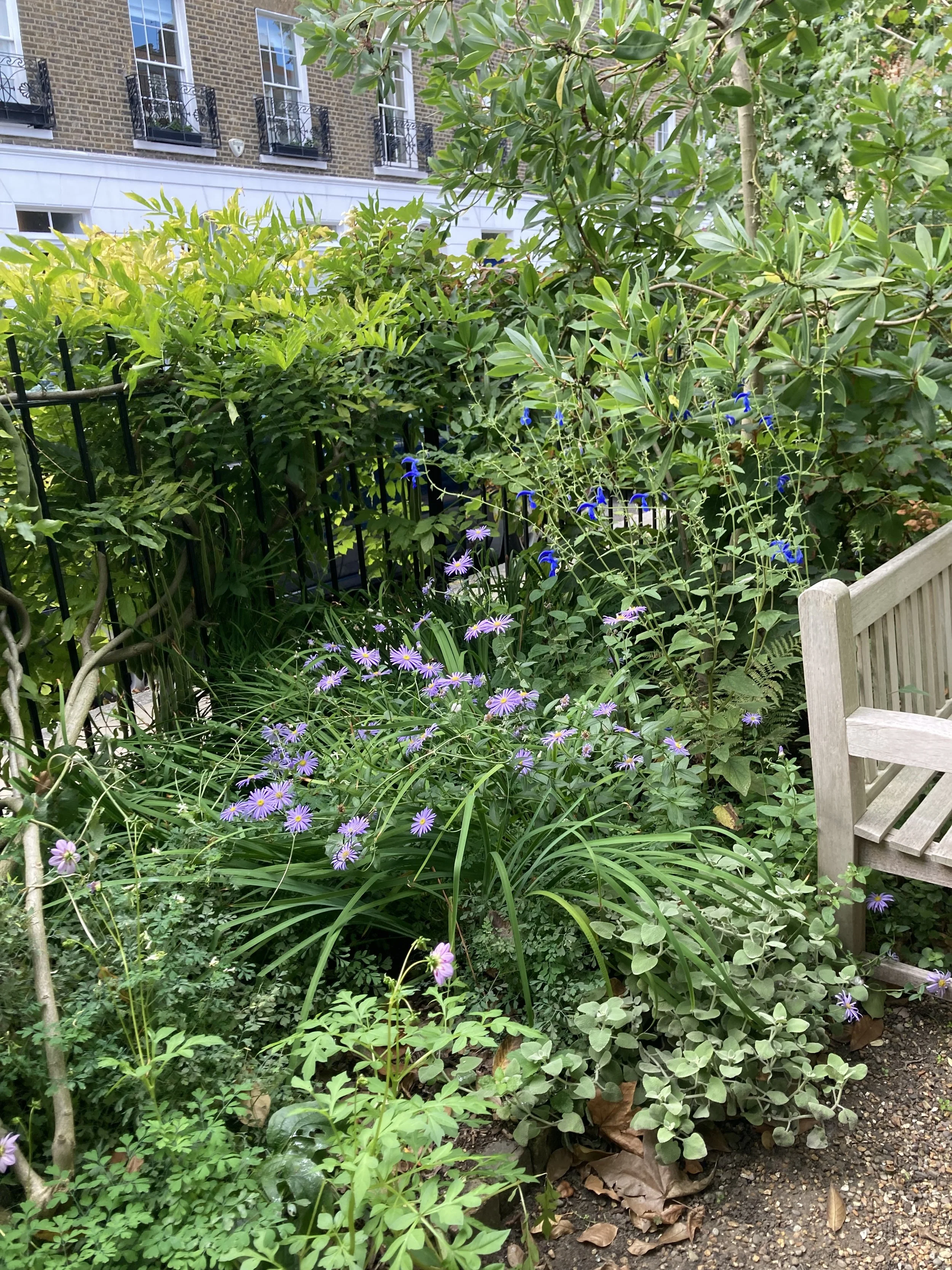 IMG_2678.jpeg