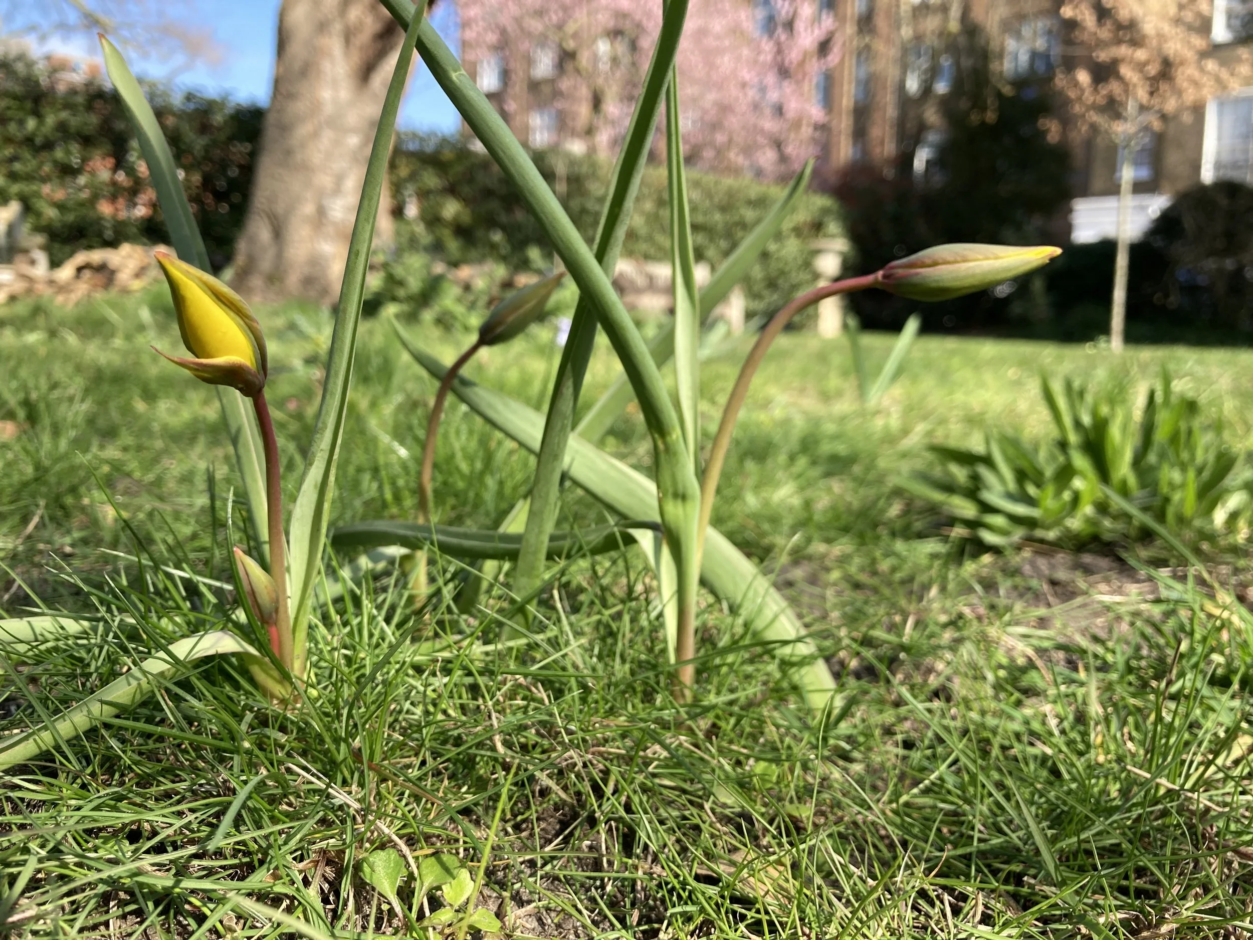 IMG_9540.jpeg