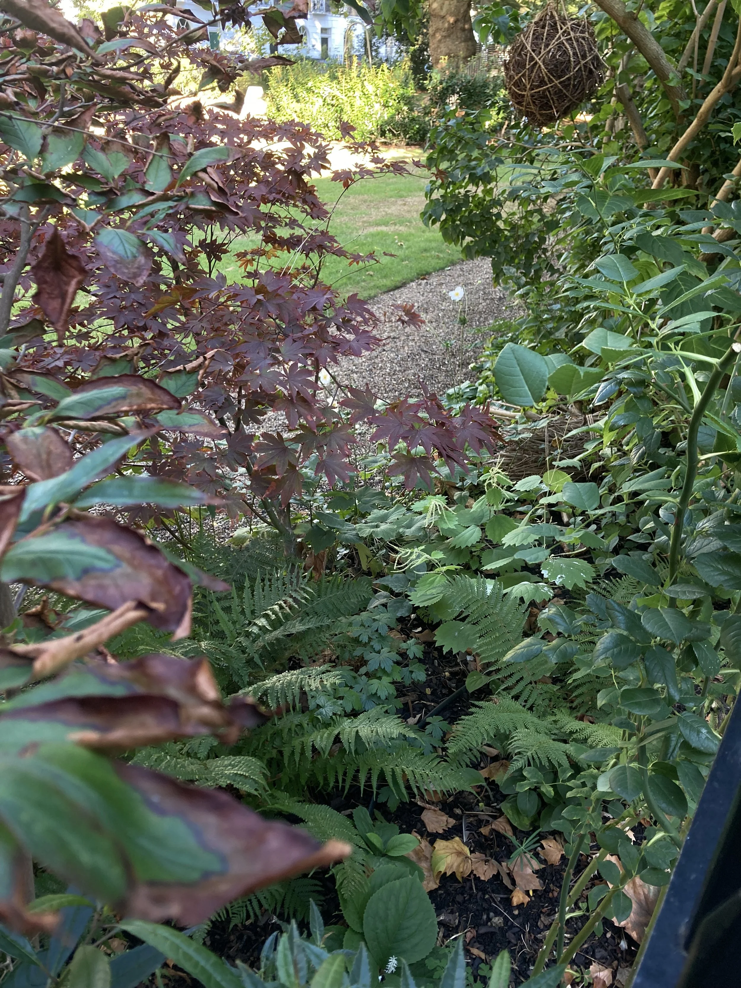 IMG_2535.jpeg