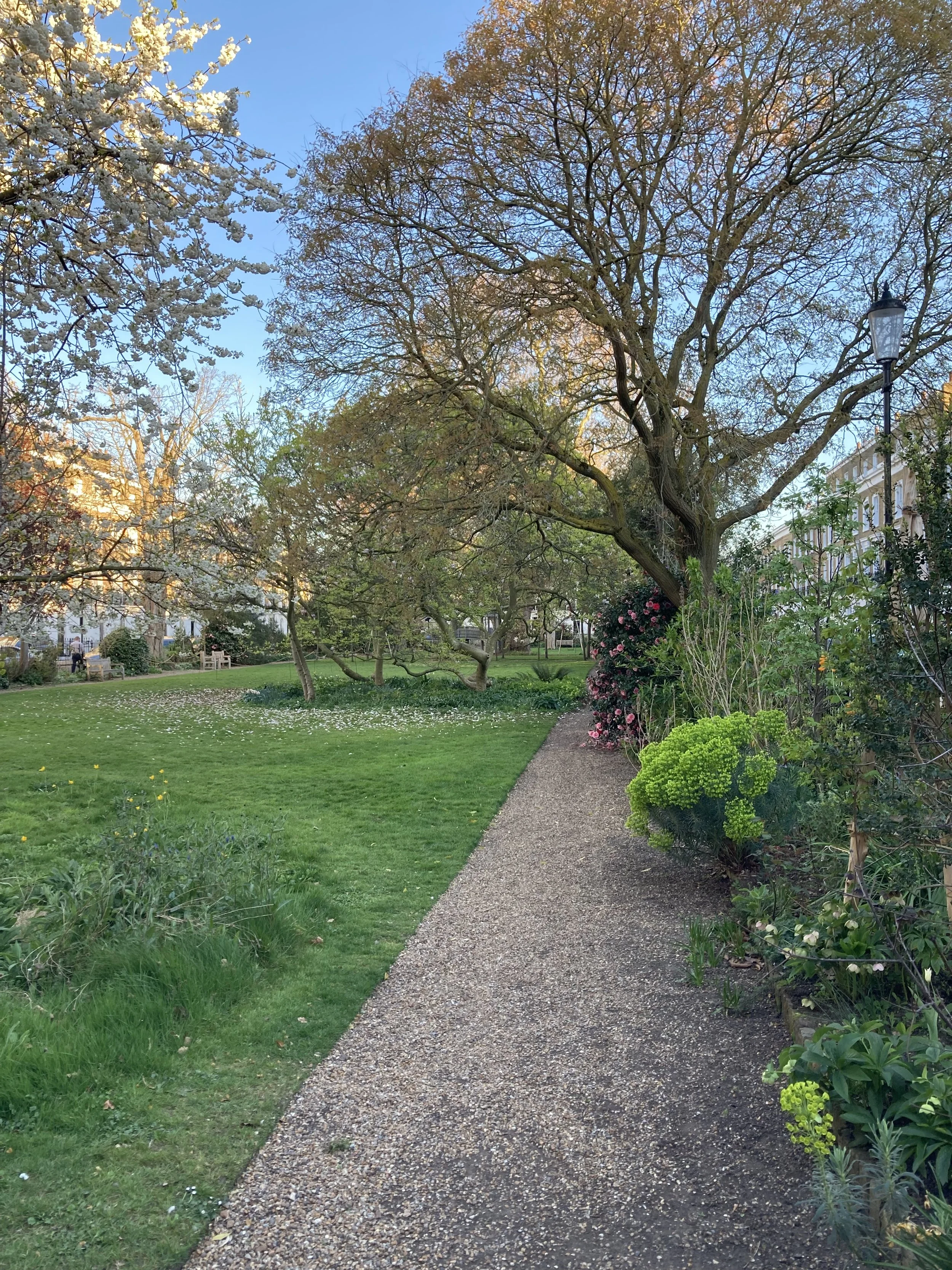 IMG_9761.jpeg