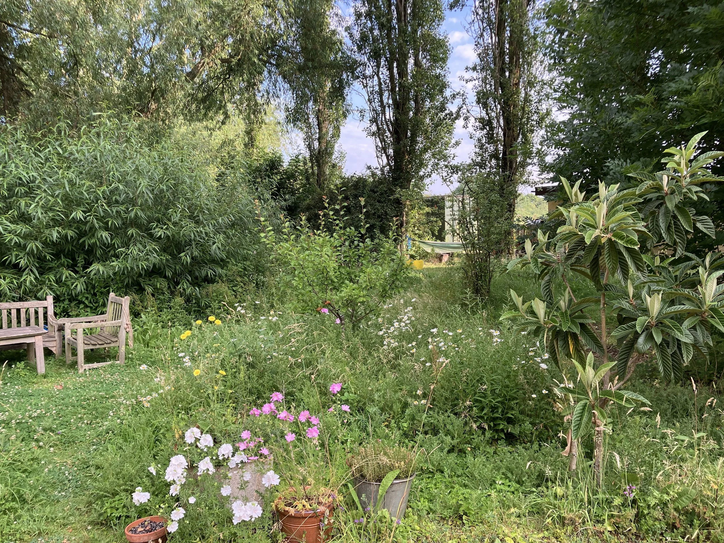 IMG_0987.jpeg