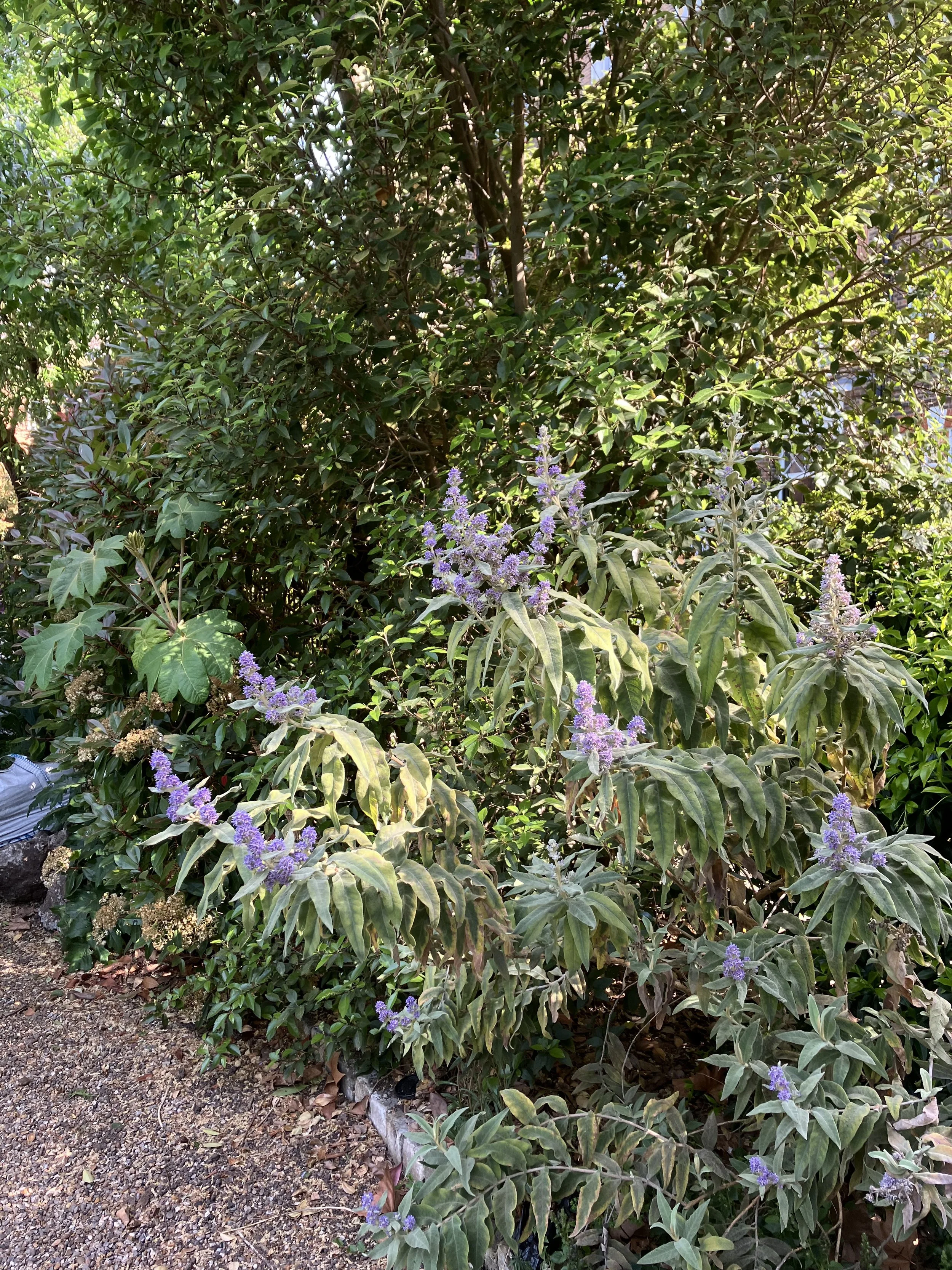 IMG_0434.jpeg