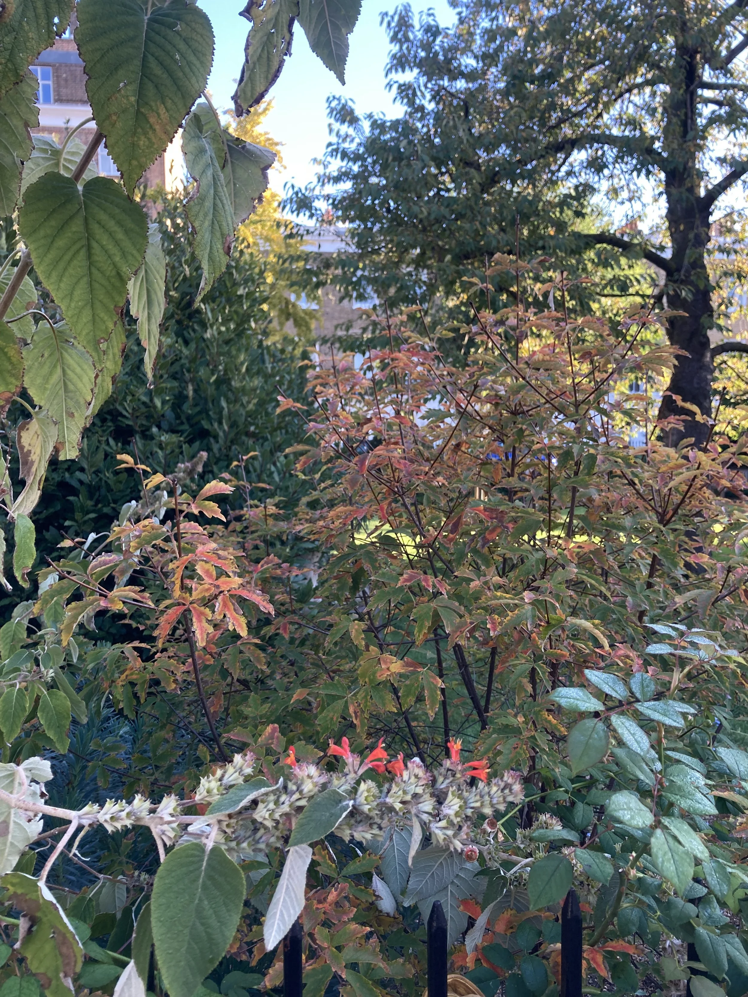 IMG_4782.jpeg