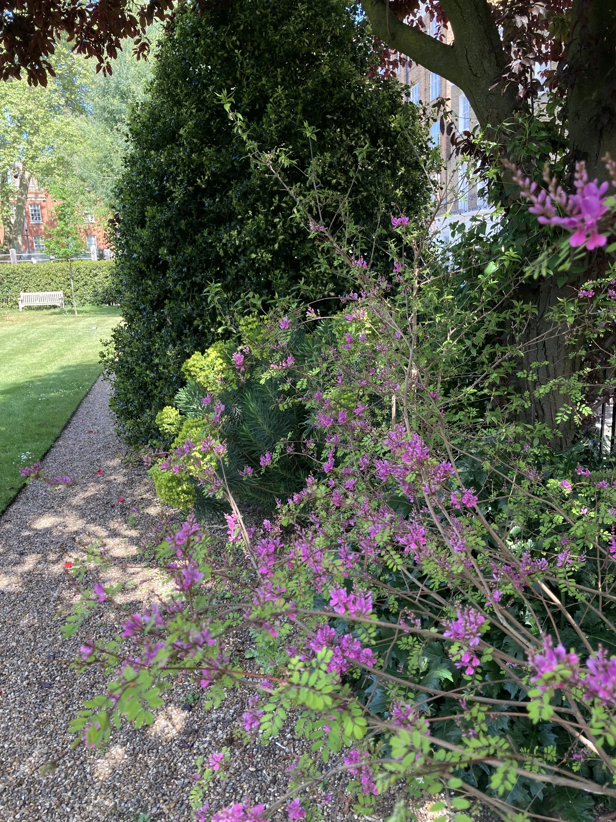 IMG_0503.jpeg