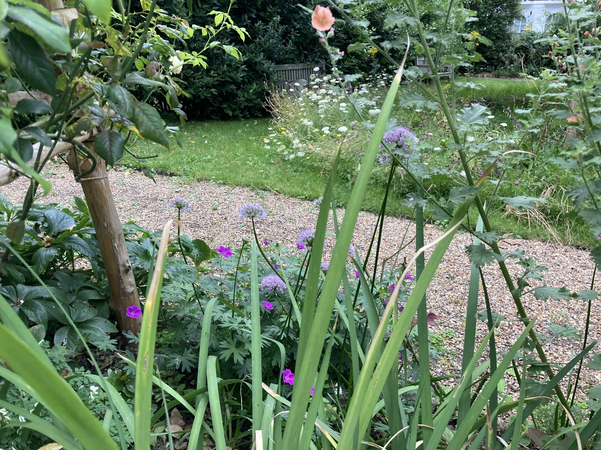 IMG_7724.jpeg