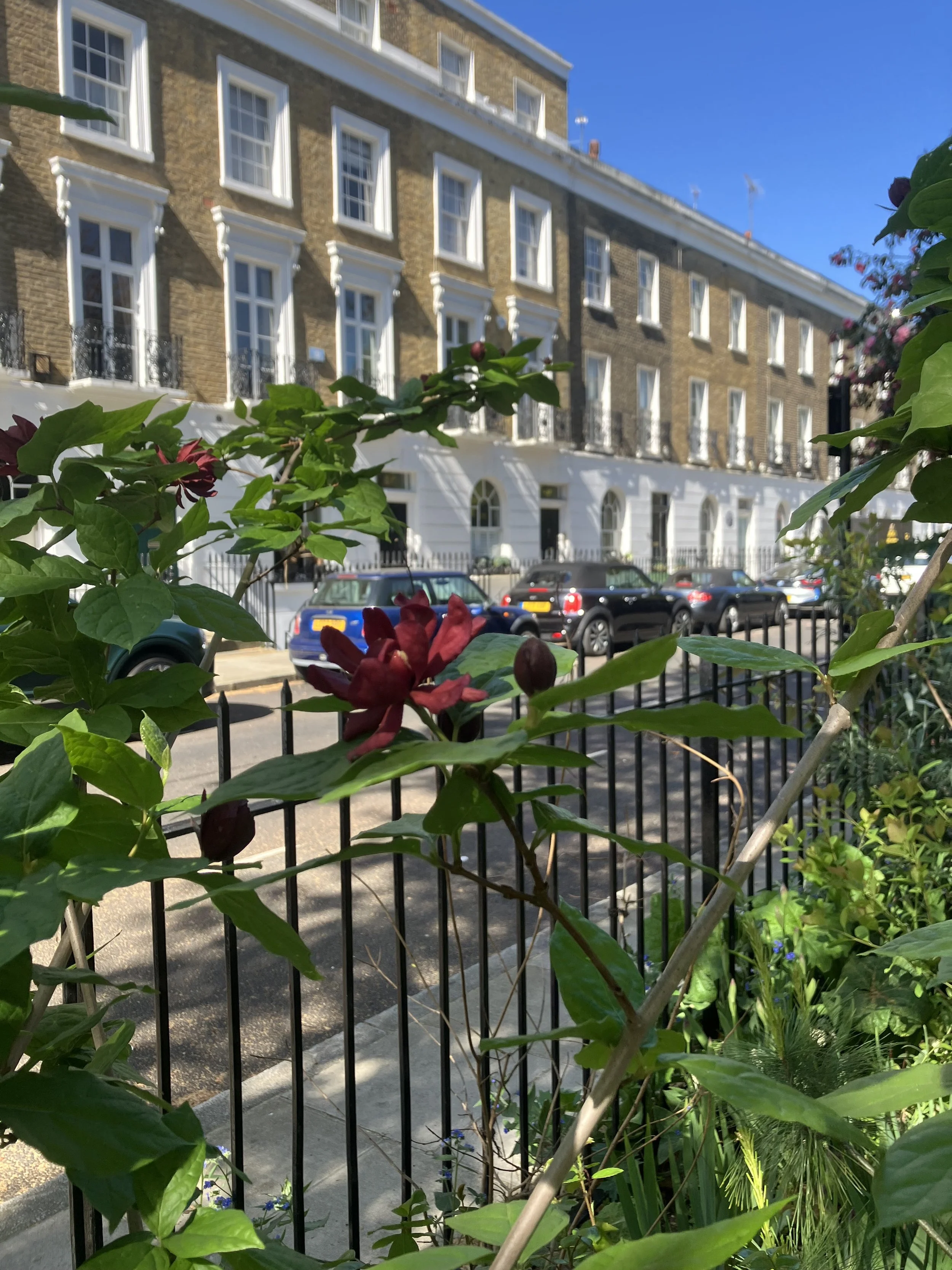 IMG_0277.jpeg