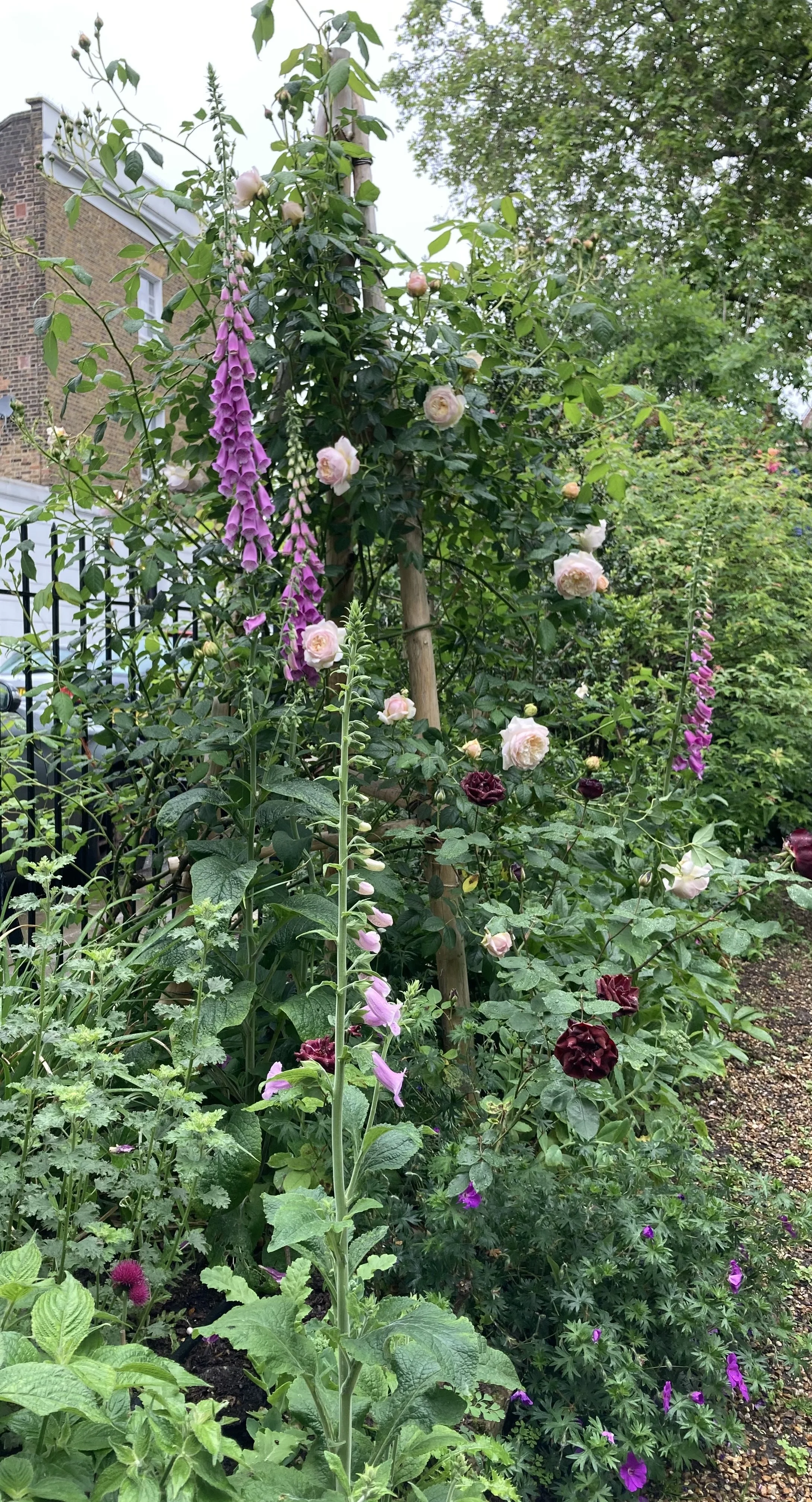 IMG_6708.jpeg