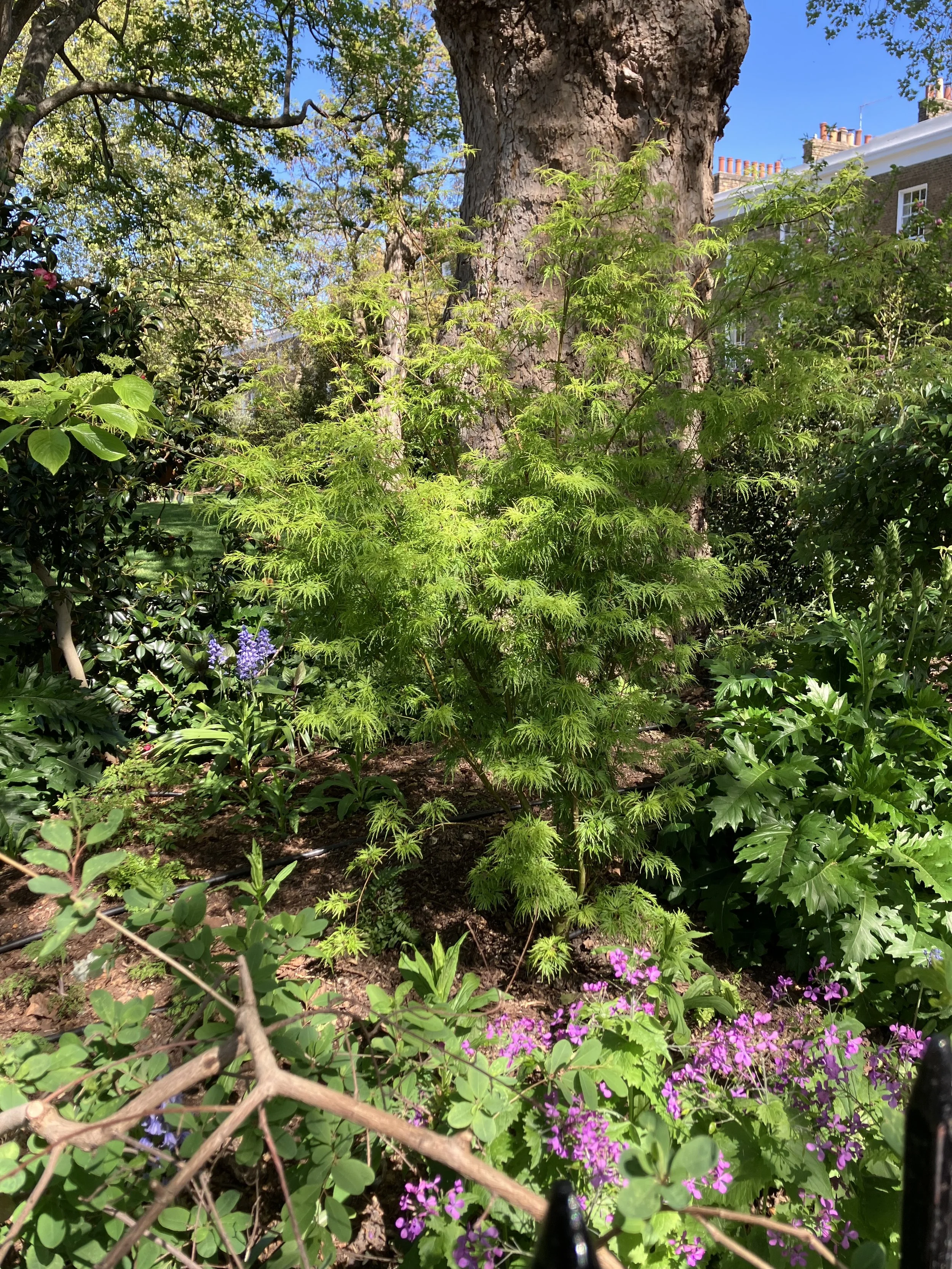 IMG_0289.jpeg