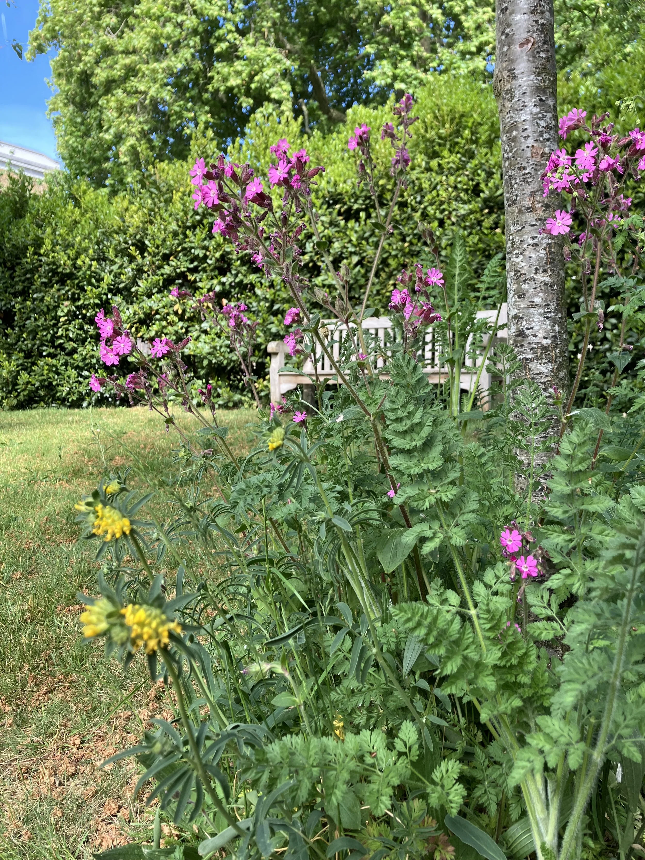 IMG_0444.jpeg
