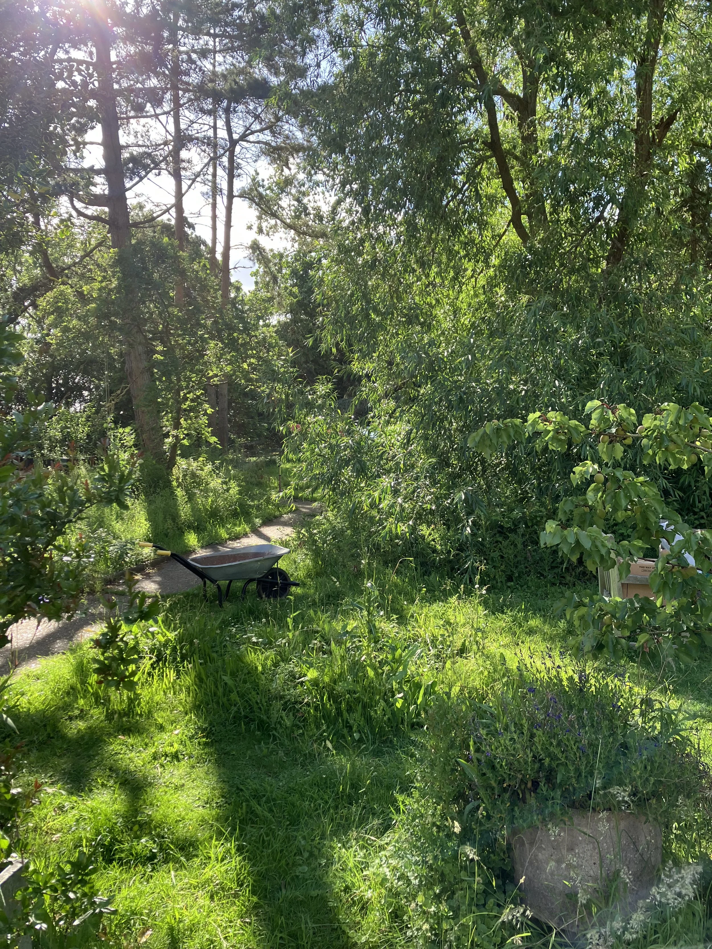 IMG_0852.jpeg