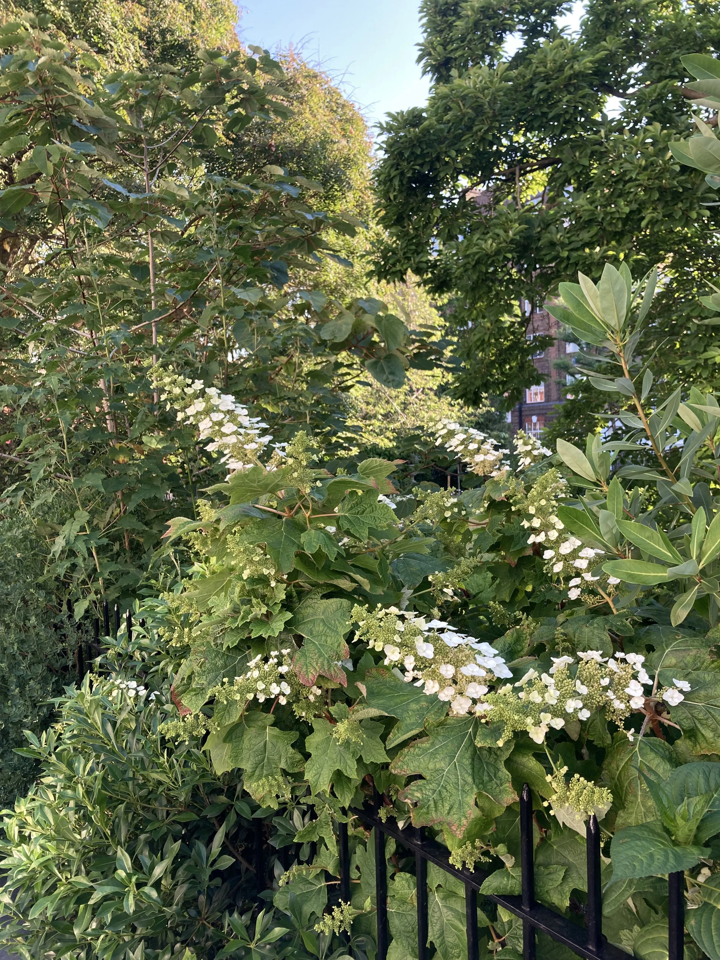 IMG_3144.jpeg