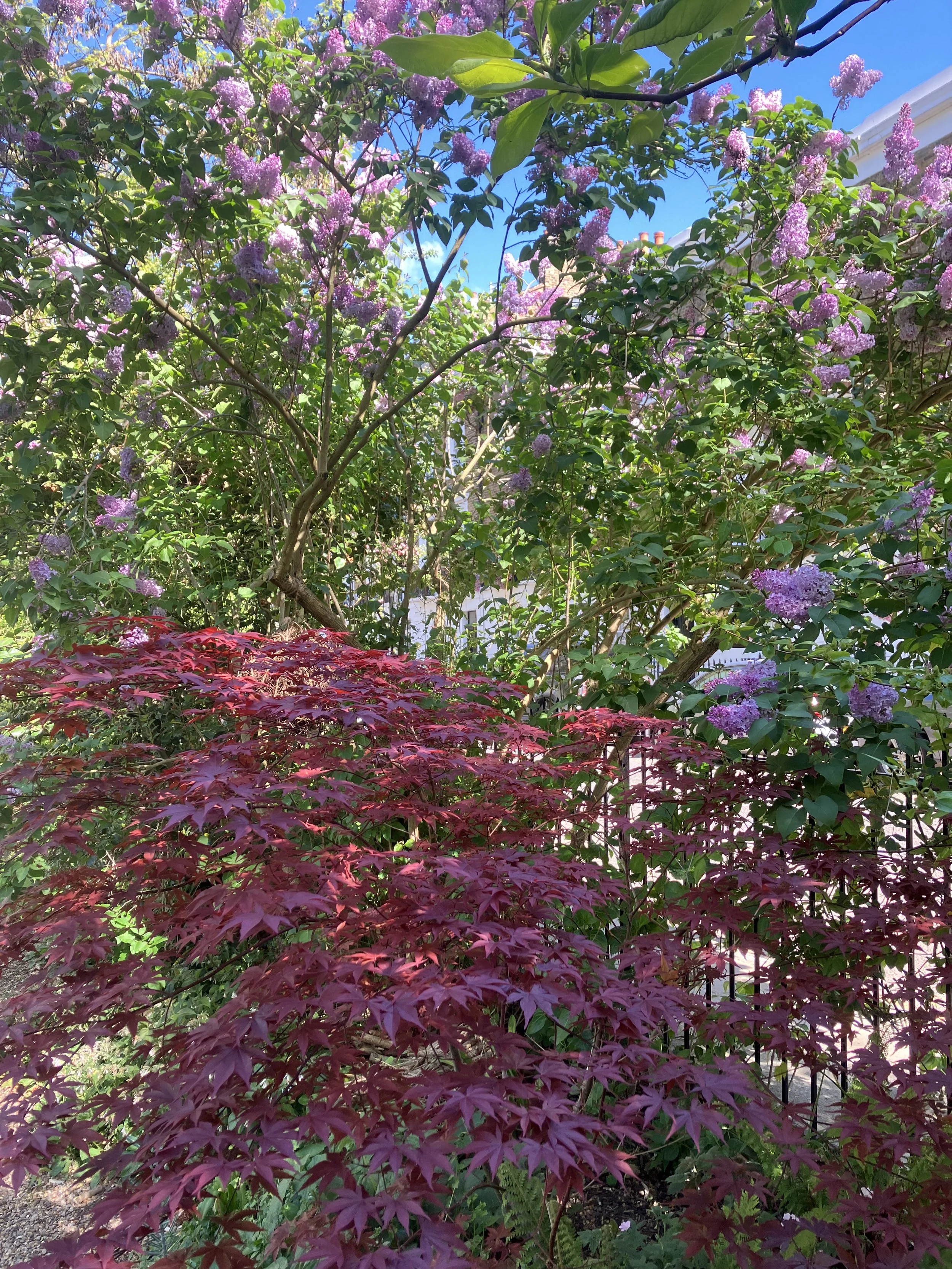 IMG_0271.jpeg