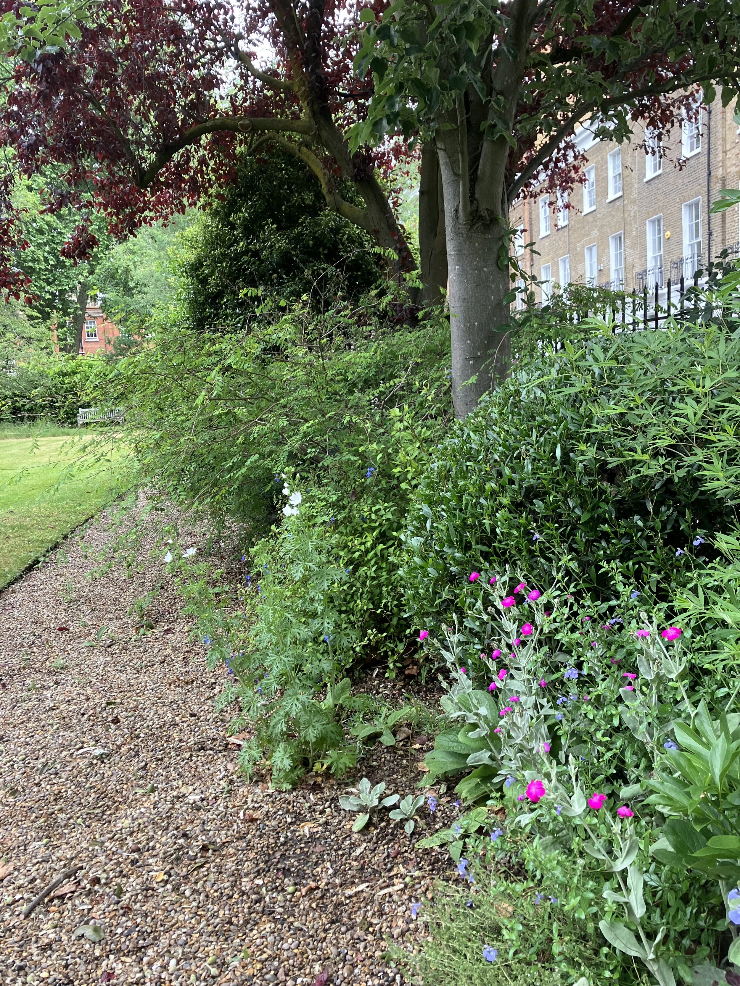 IMG_0729.jpeg