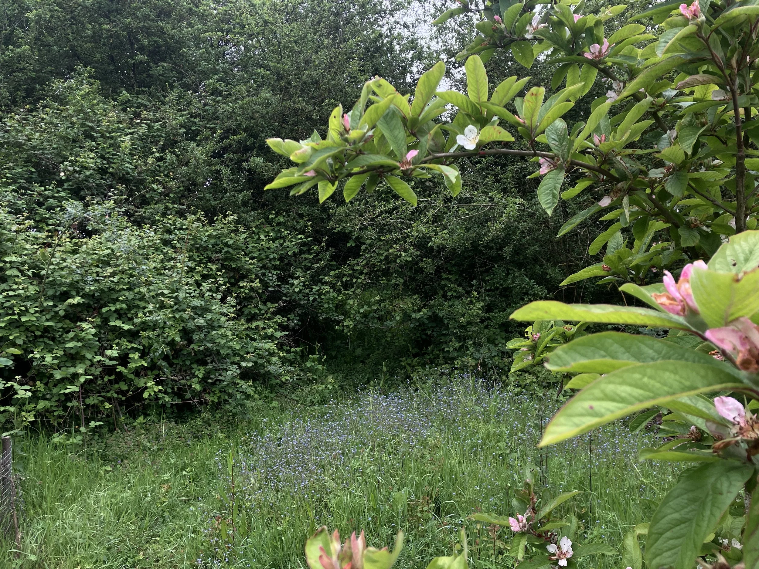 IMG_0486.jpeg