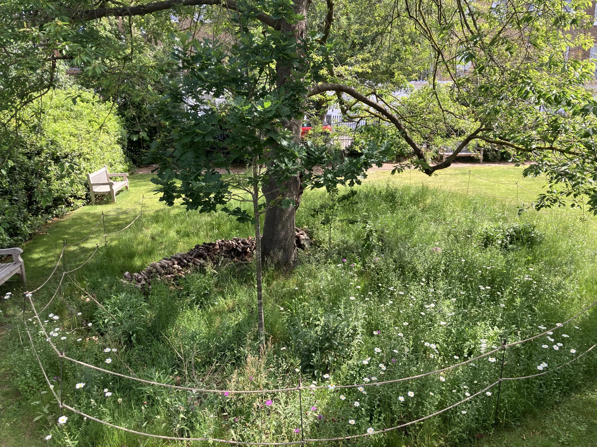 IMG_0564.jpeg