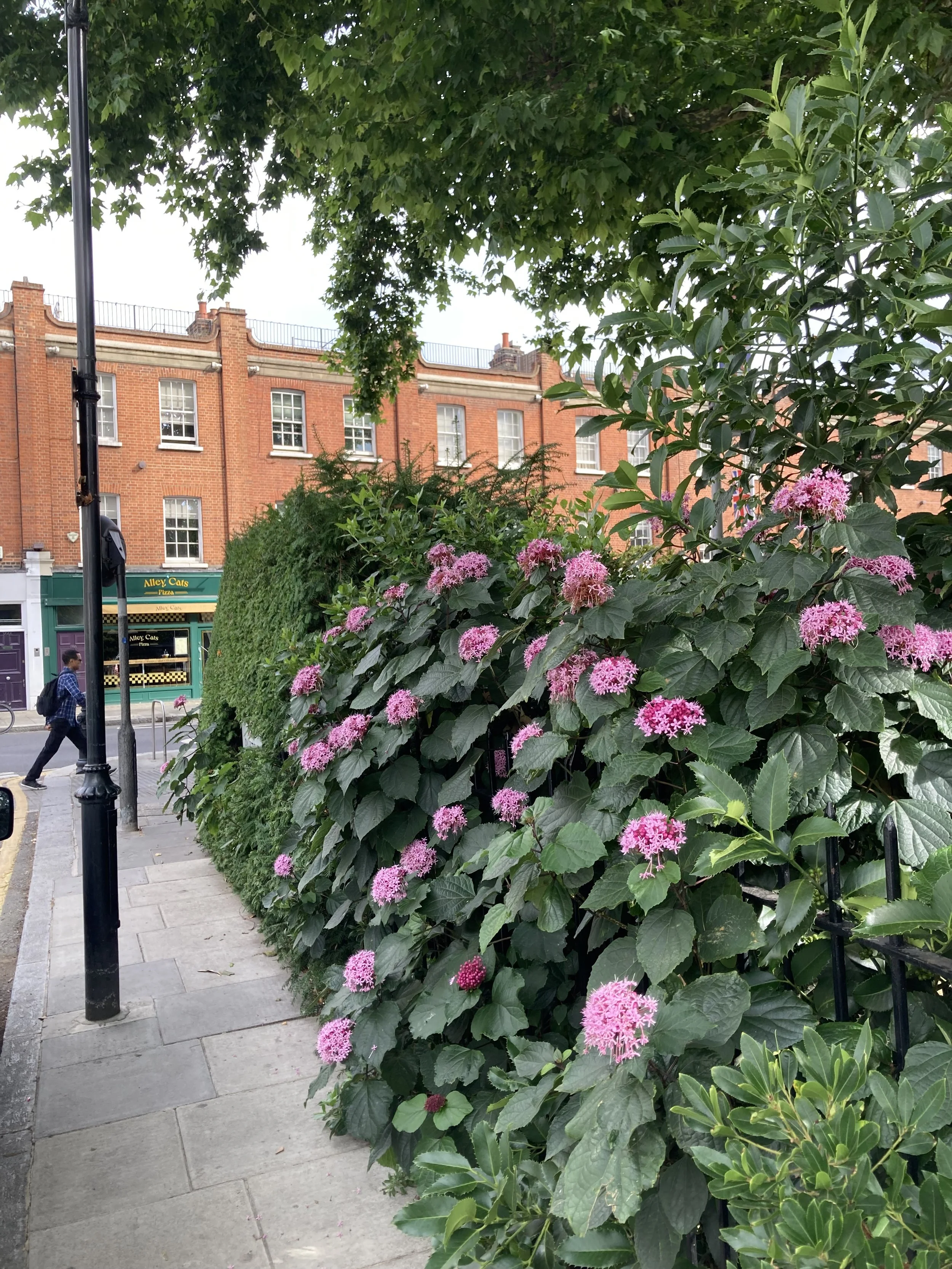 IMG_1834.jpeg