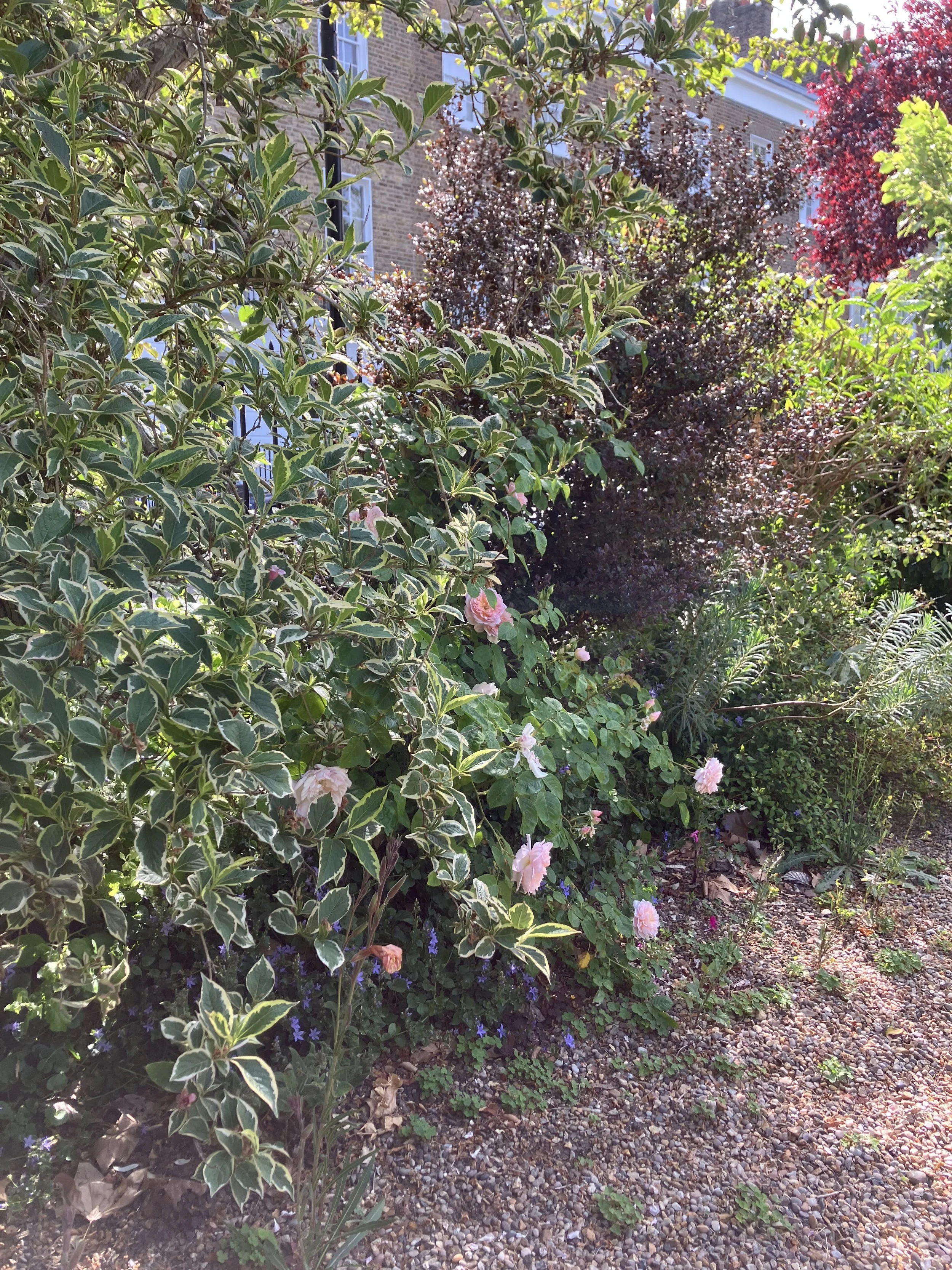 IMG_0548.jpeg