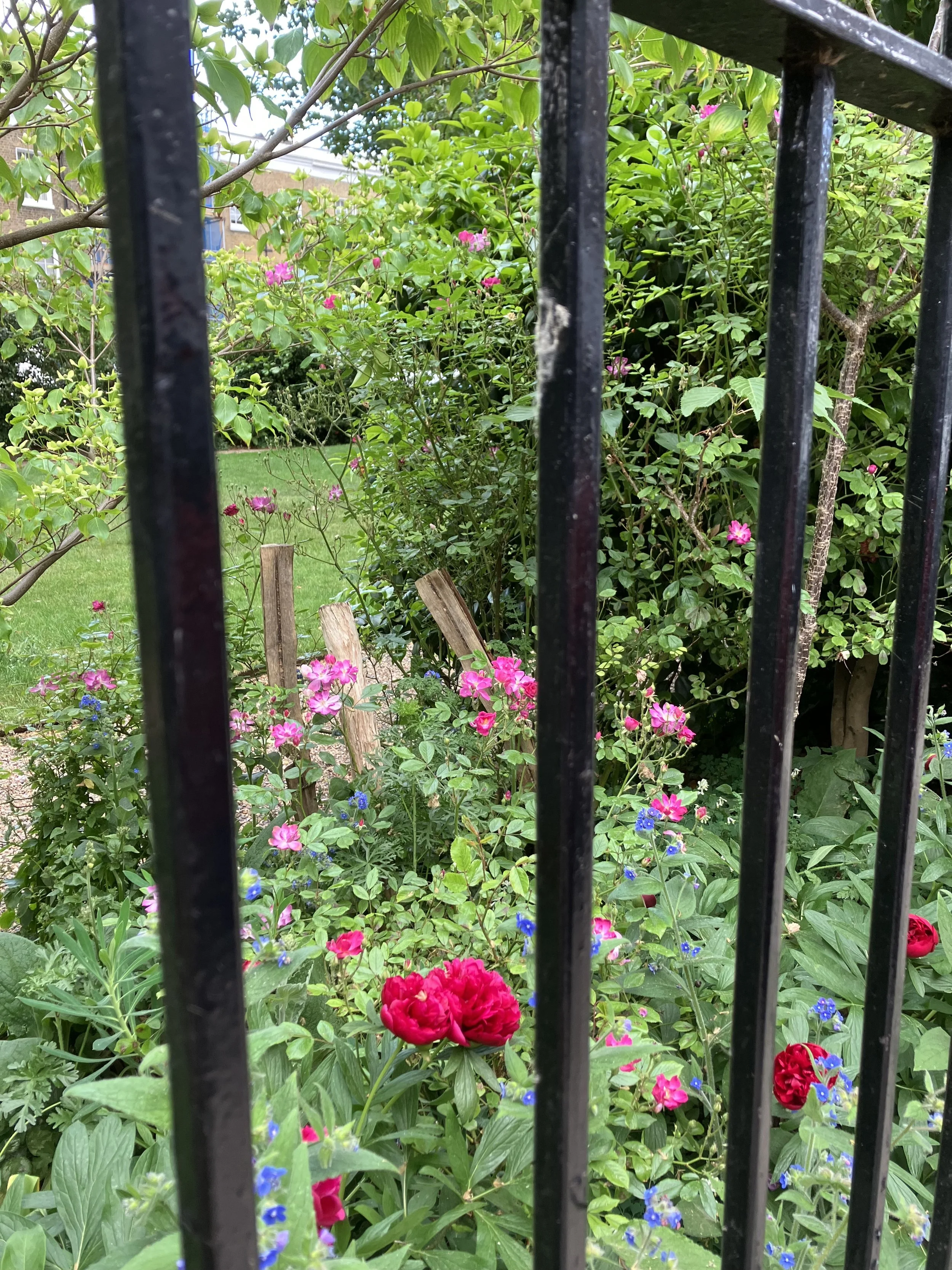 IMG_0462.jpeg