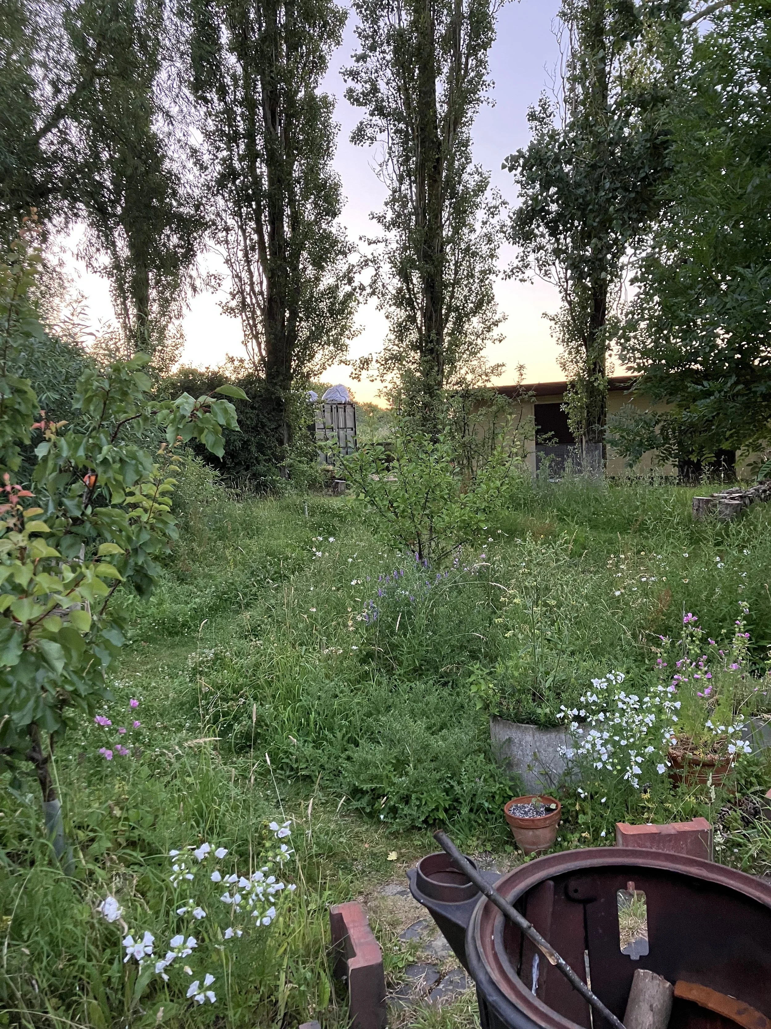 IMG_1048.jpeg