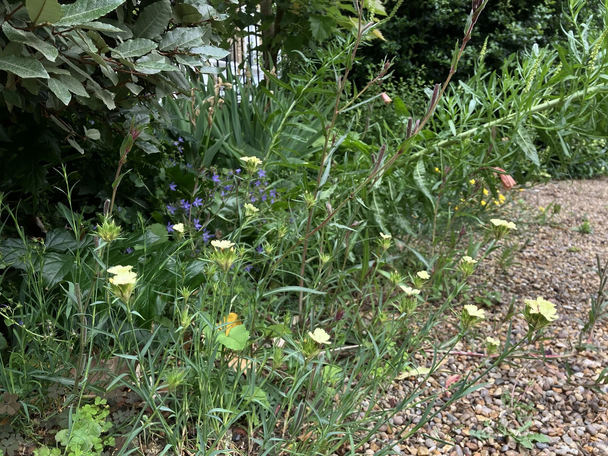 IMG_0842.jpeg