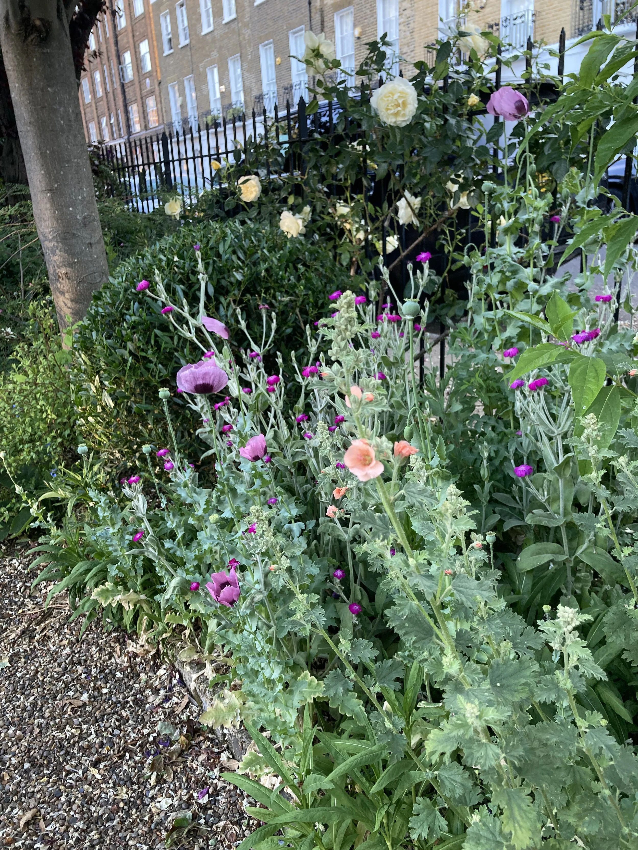 IMG_3137.jpeg