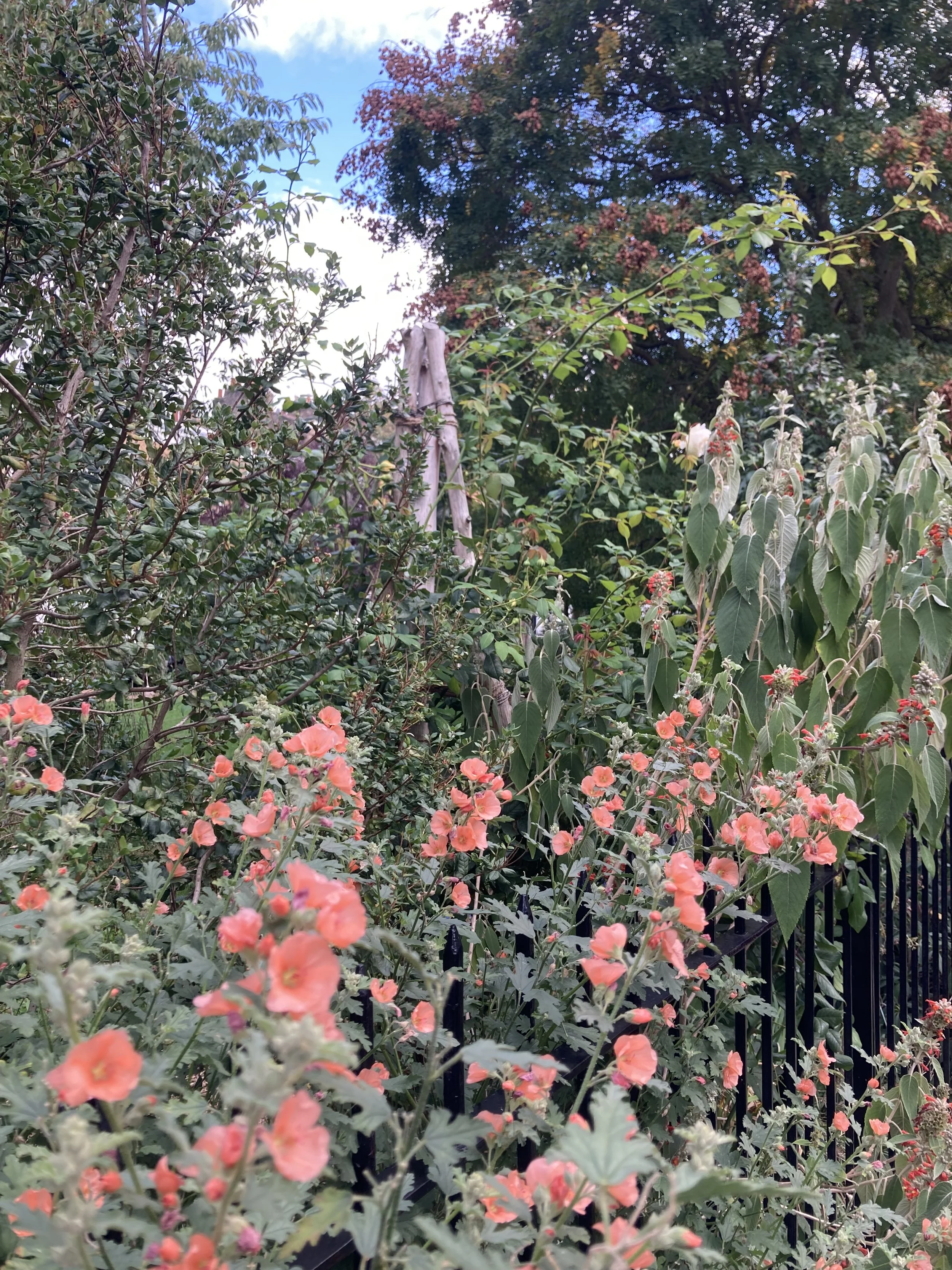 IMG_2680.jpeg