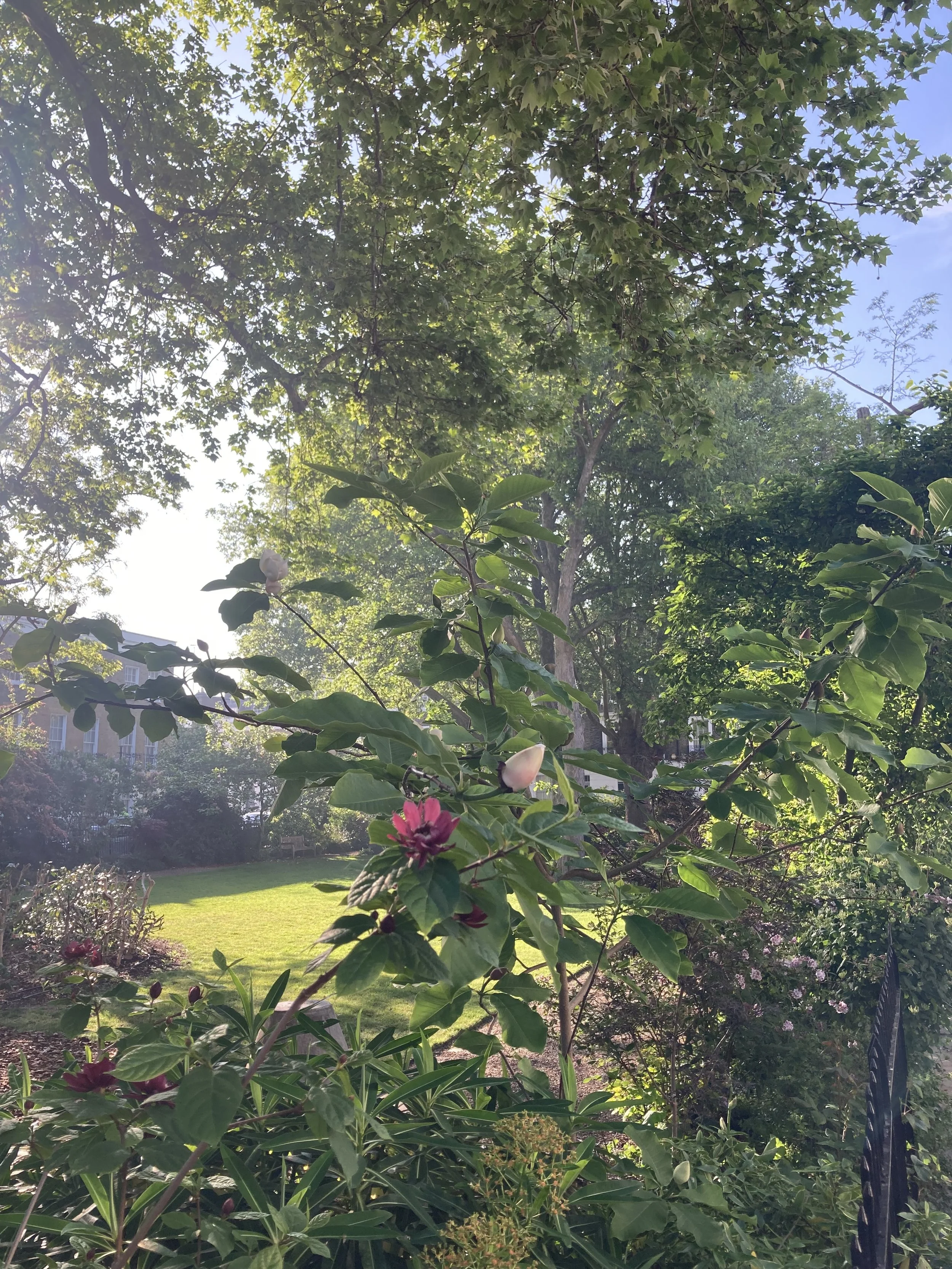 IMG_0477.jpeg