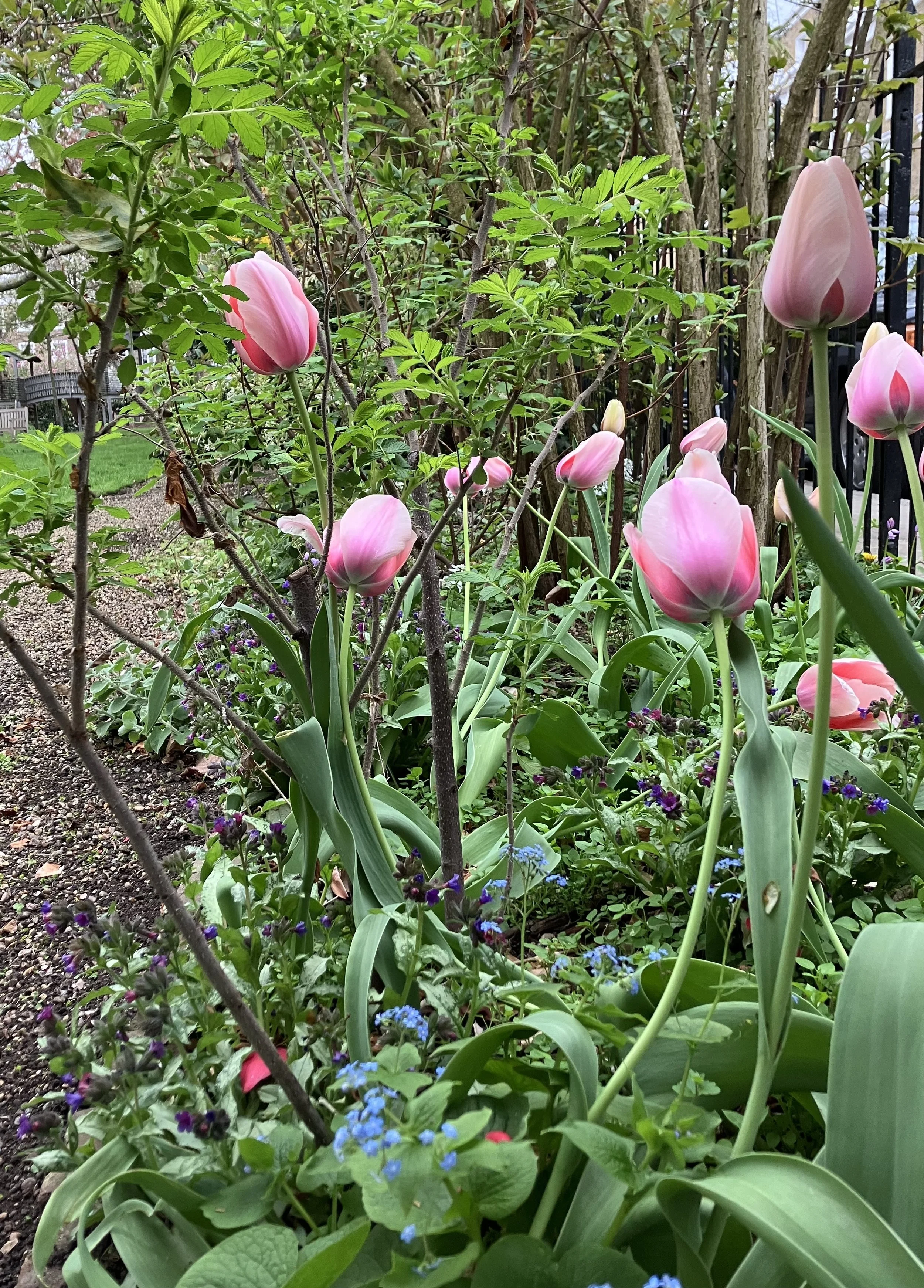IMG_0152.jpeg