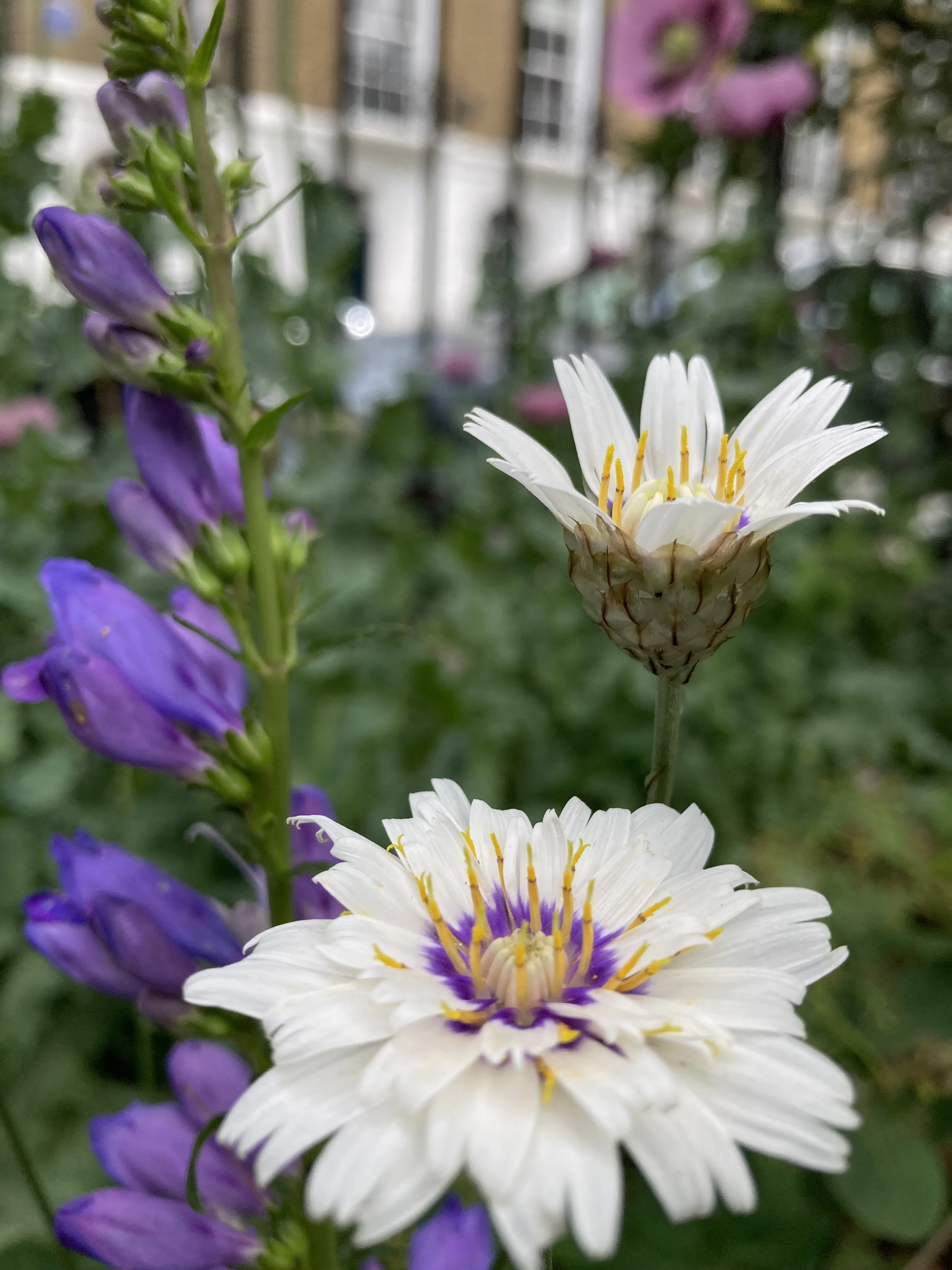 IMG_1122.jpeg
