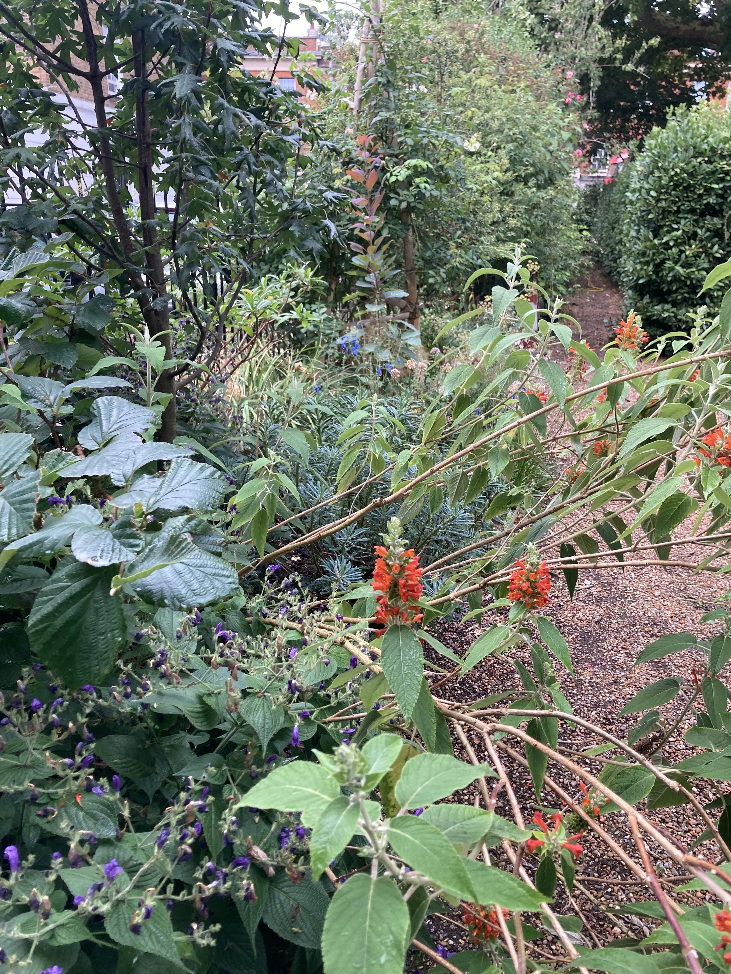 IMG_2267.jpeg