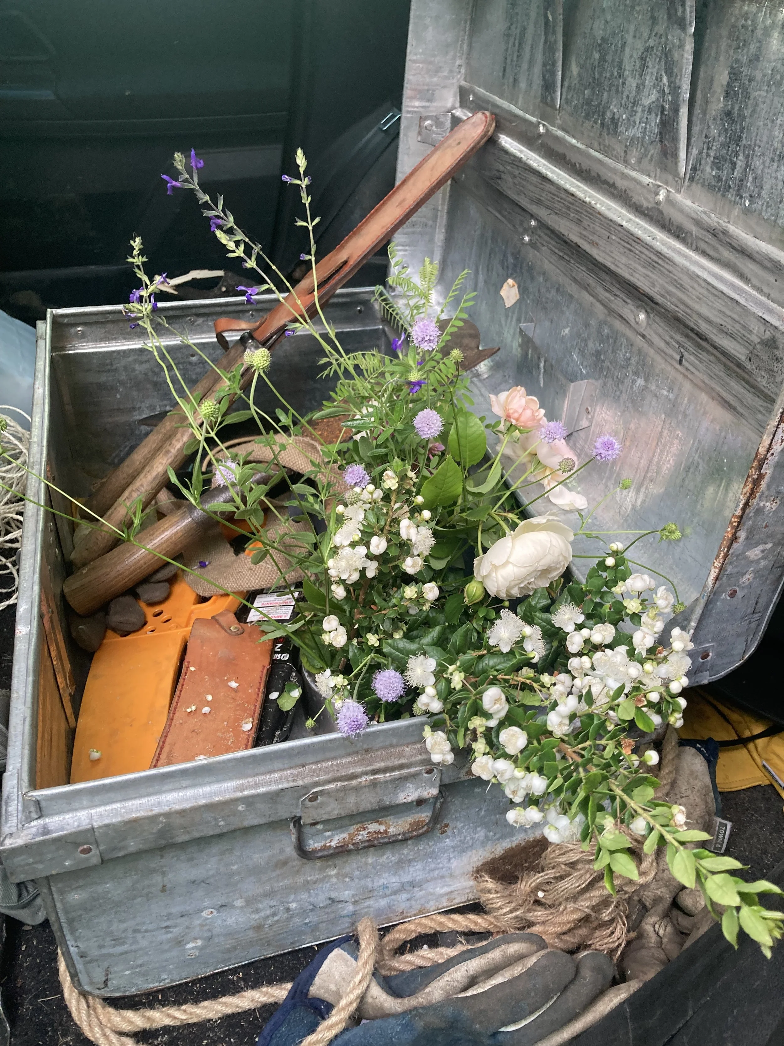 IMG_4021.jpeg