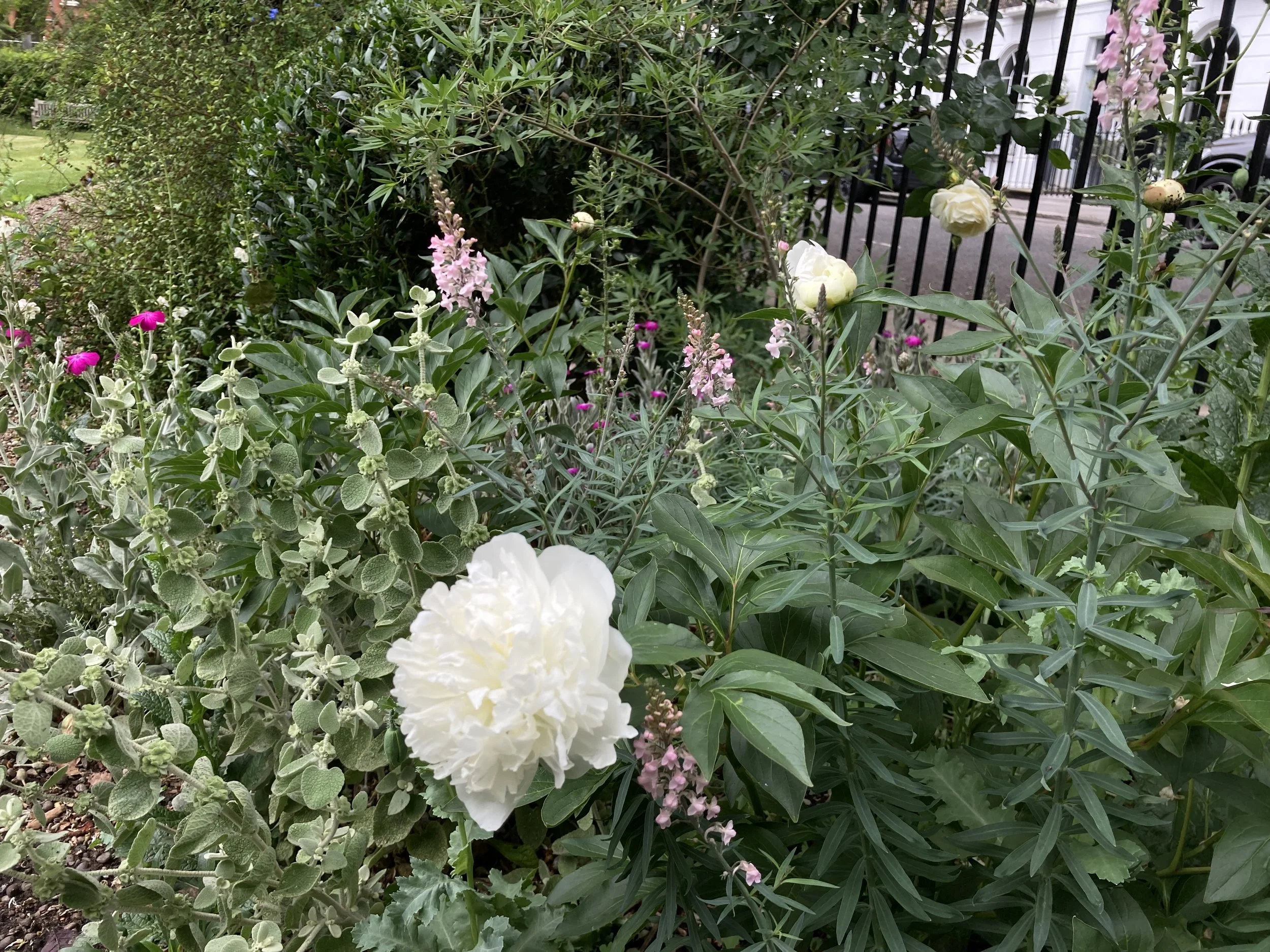 IMG_1021.jpeg