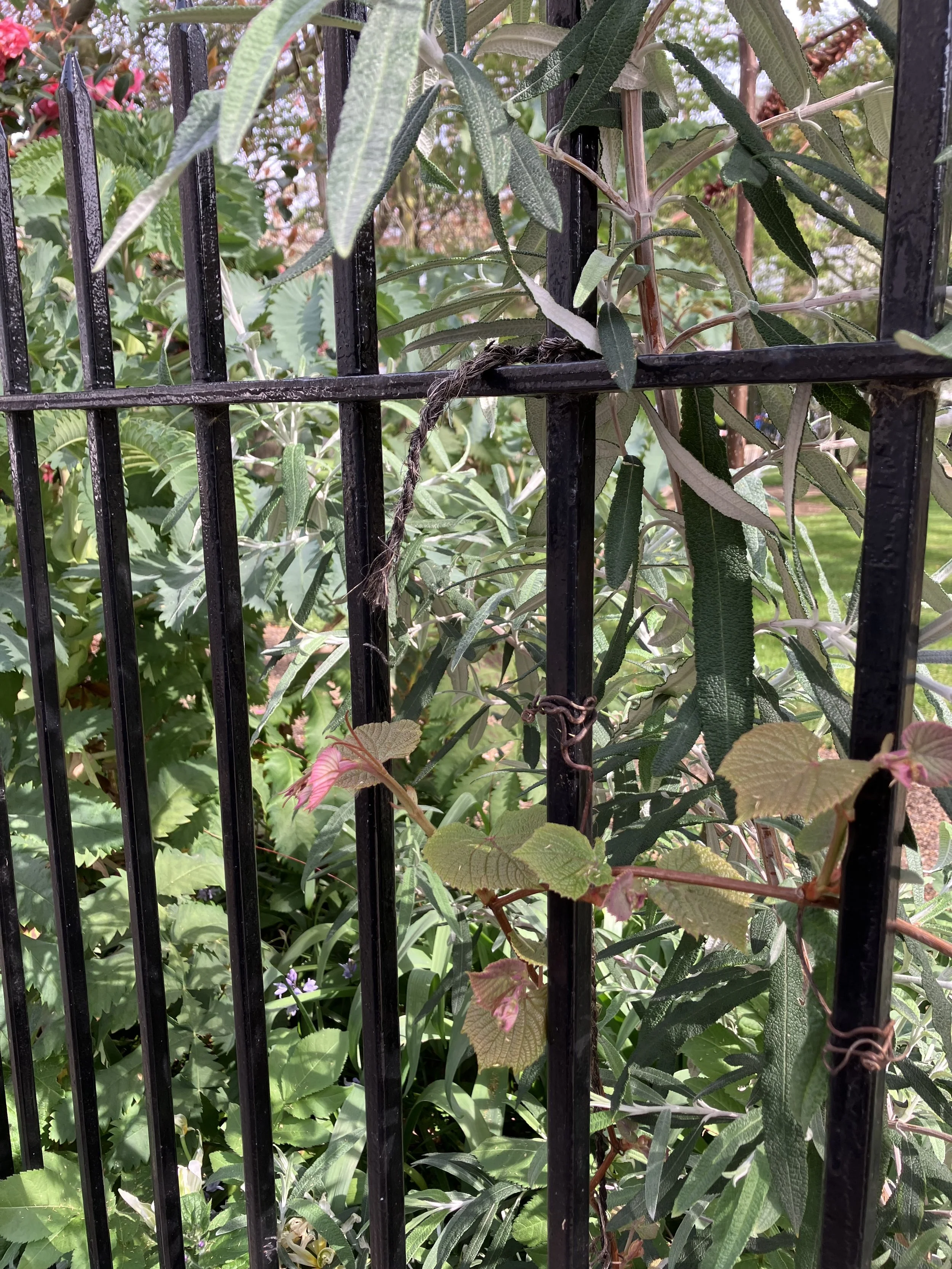 IMG_0183.jpeg