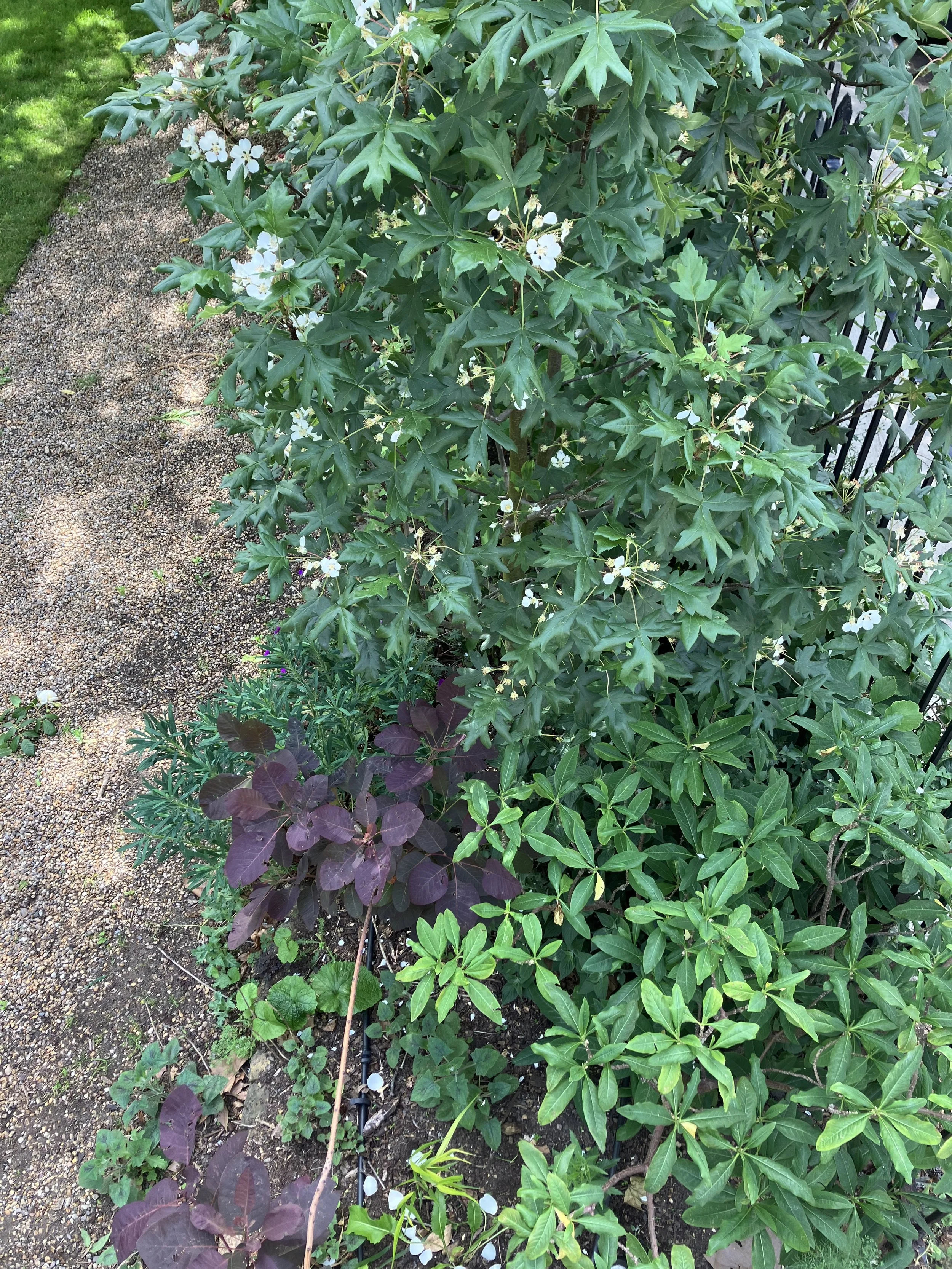 IMG_0566.jpeg