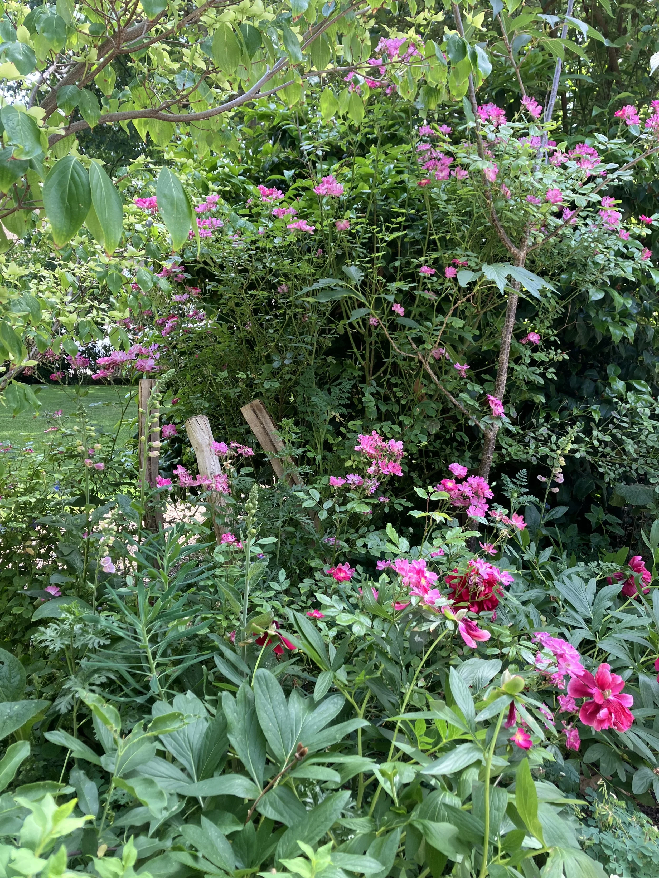 IMG_0571.jpeg