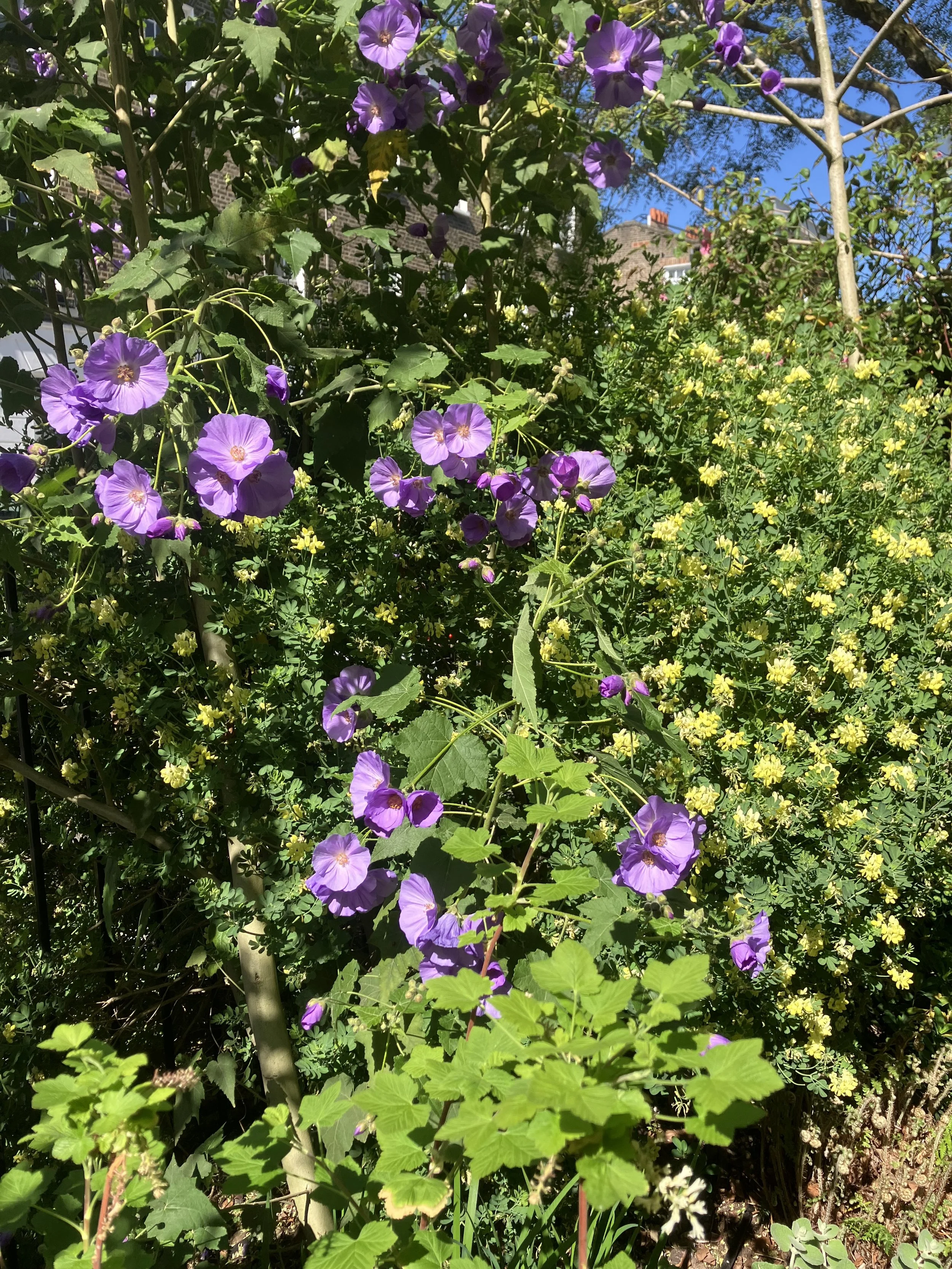 IMG_0278.jpeg