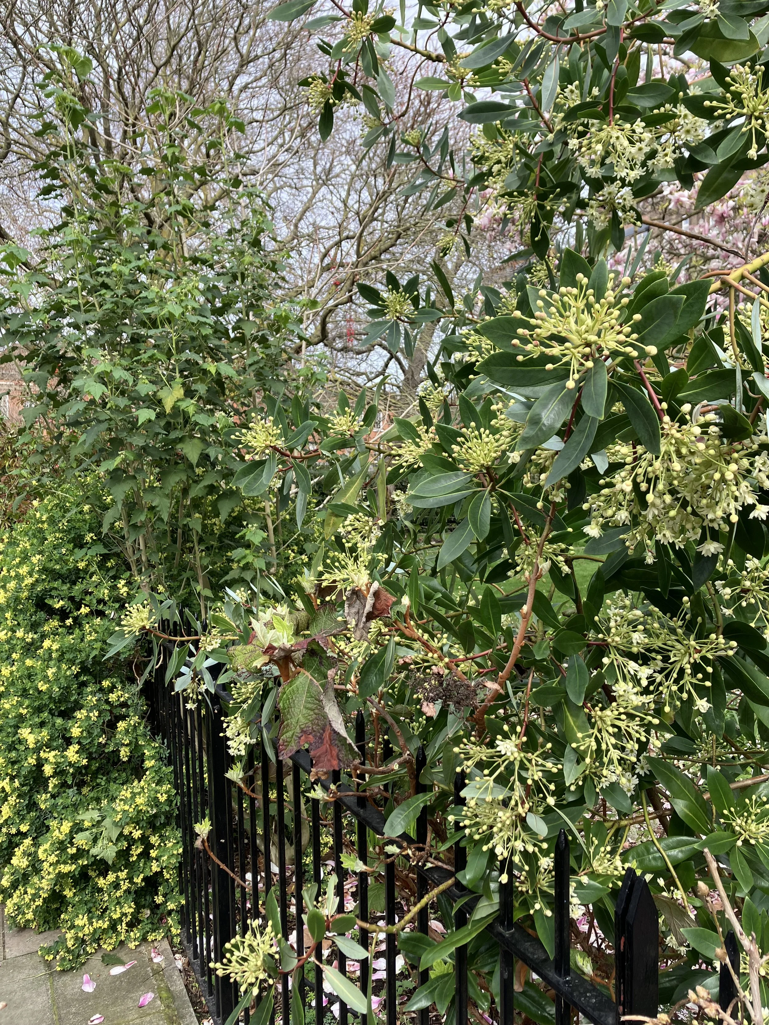 IMG_0032.jpeg