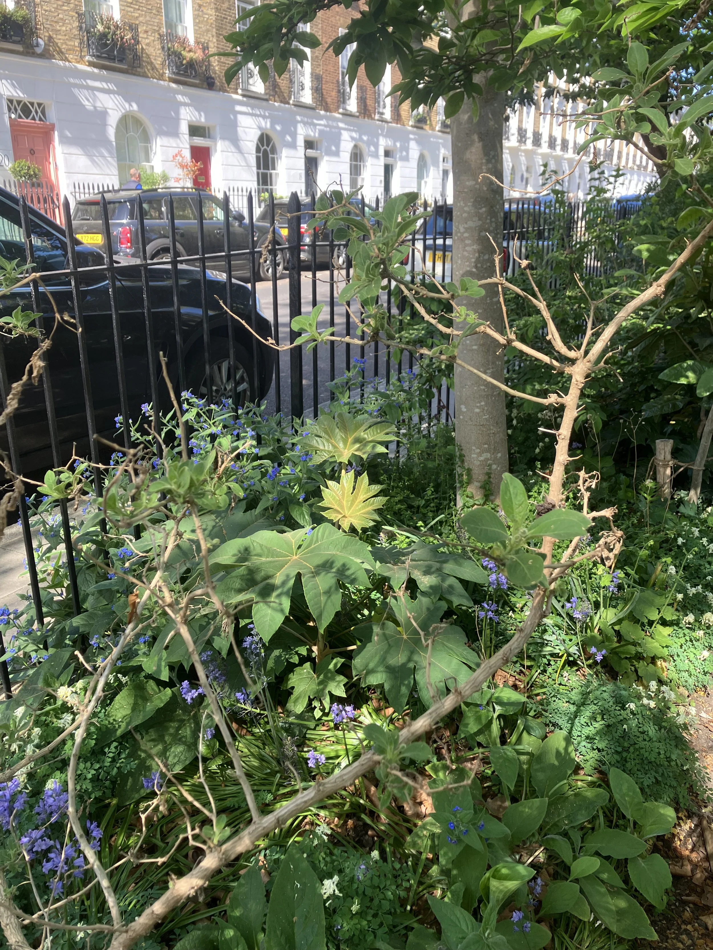 IMG_0273.jpeg