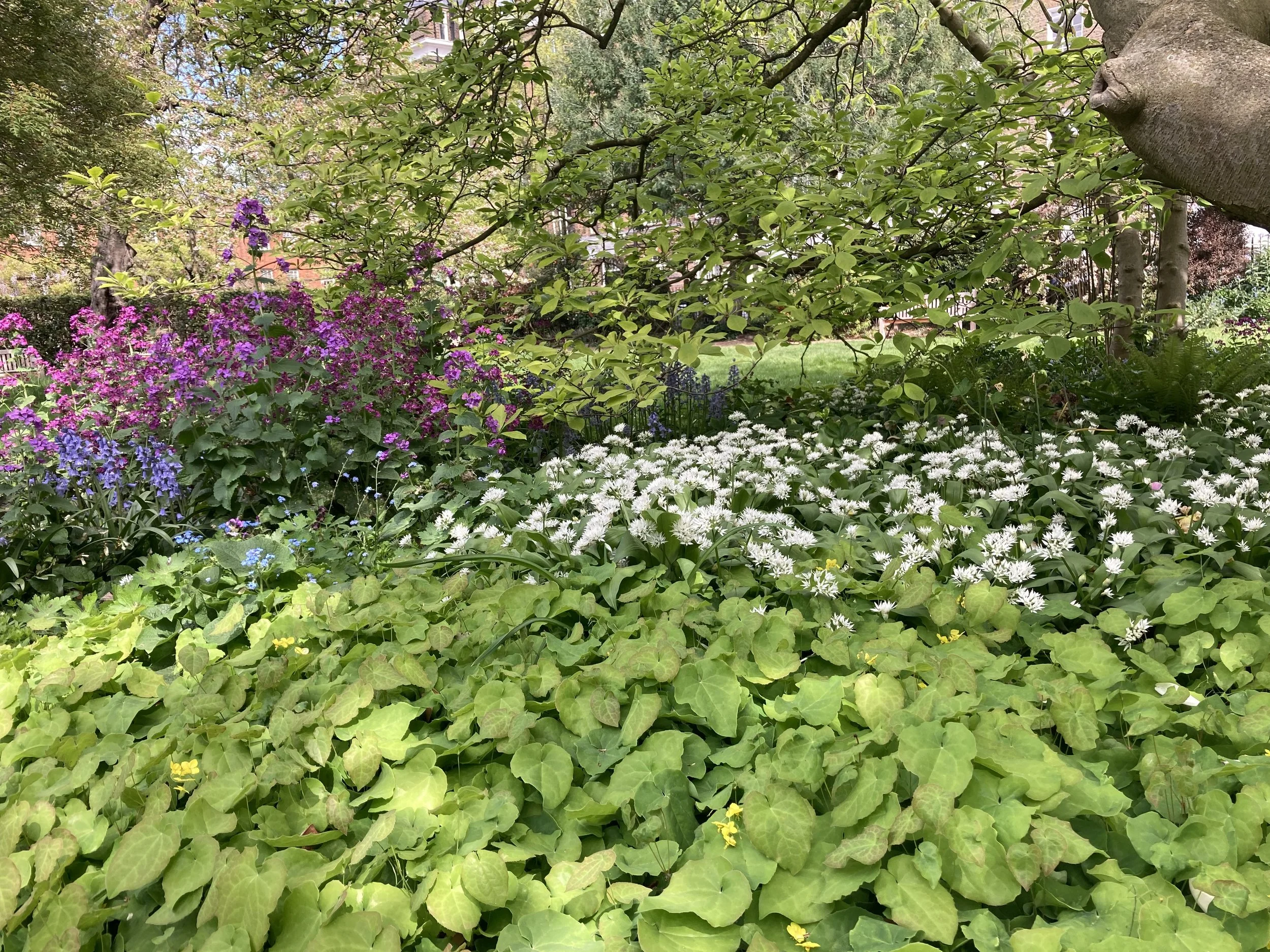 IMG_0452.jpeg