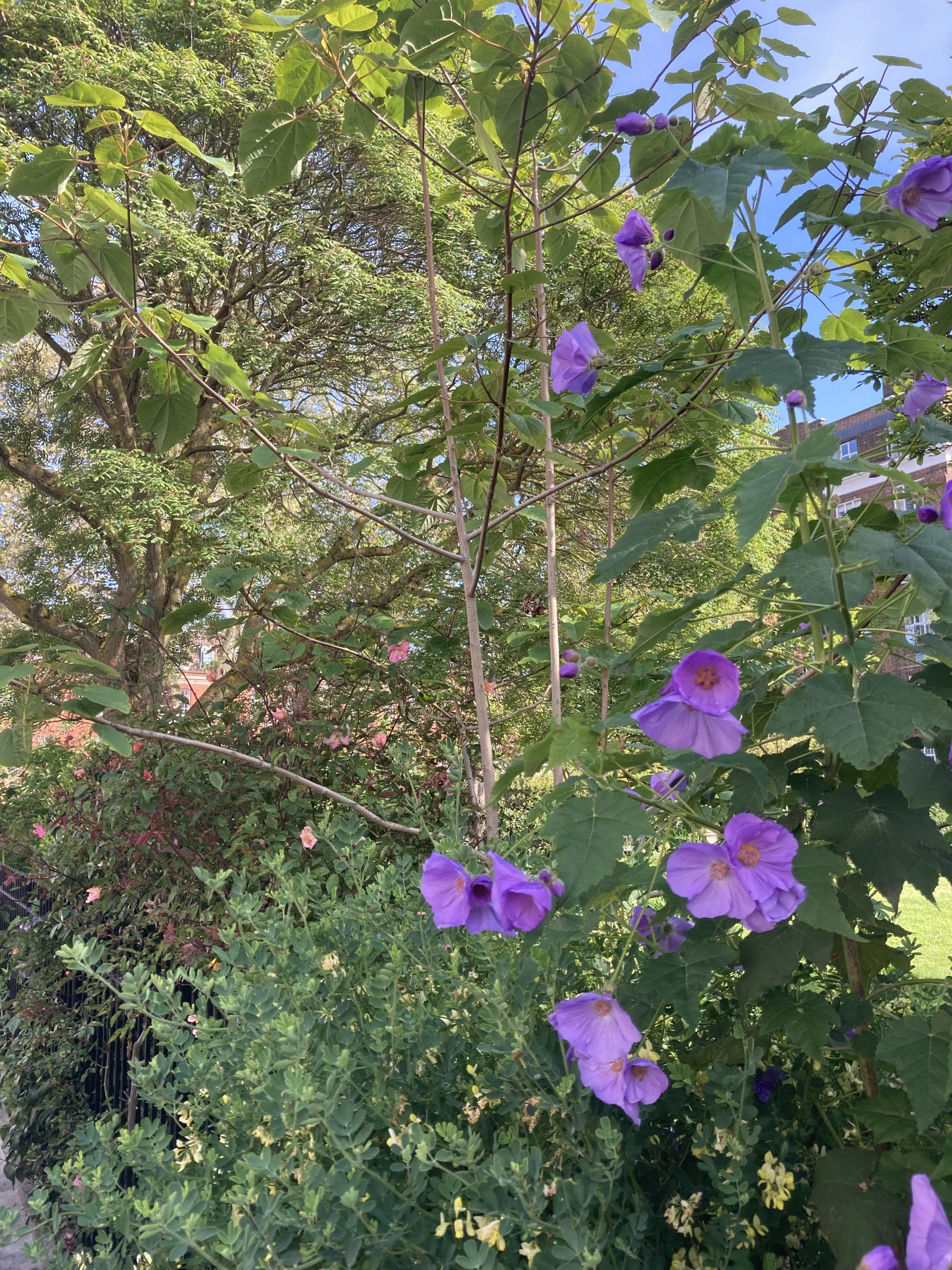 IMG_2693.jpeg