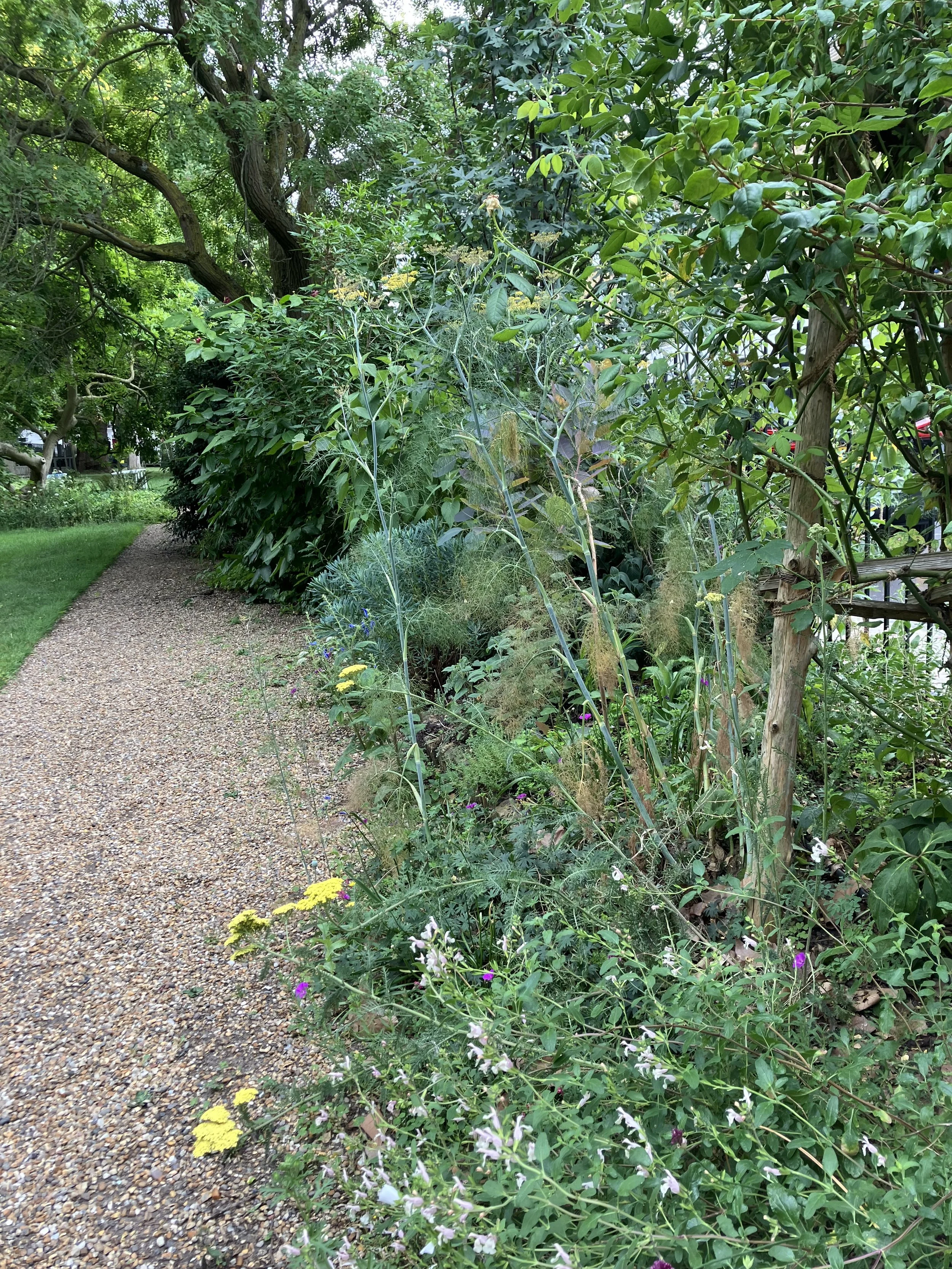 IMG_1004.jpeg
