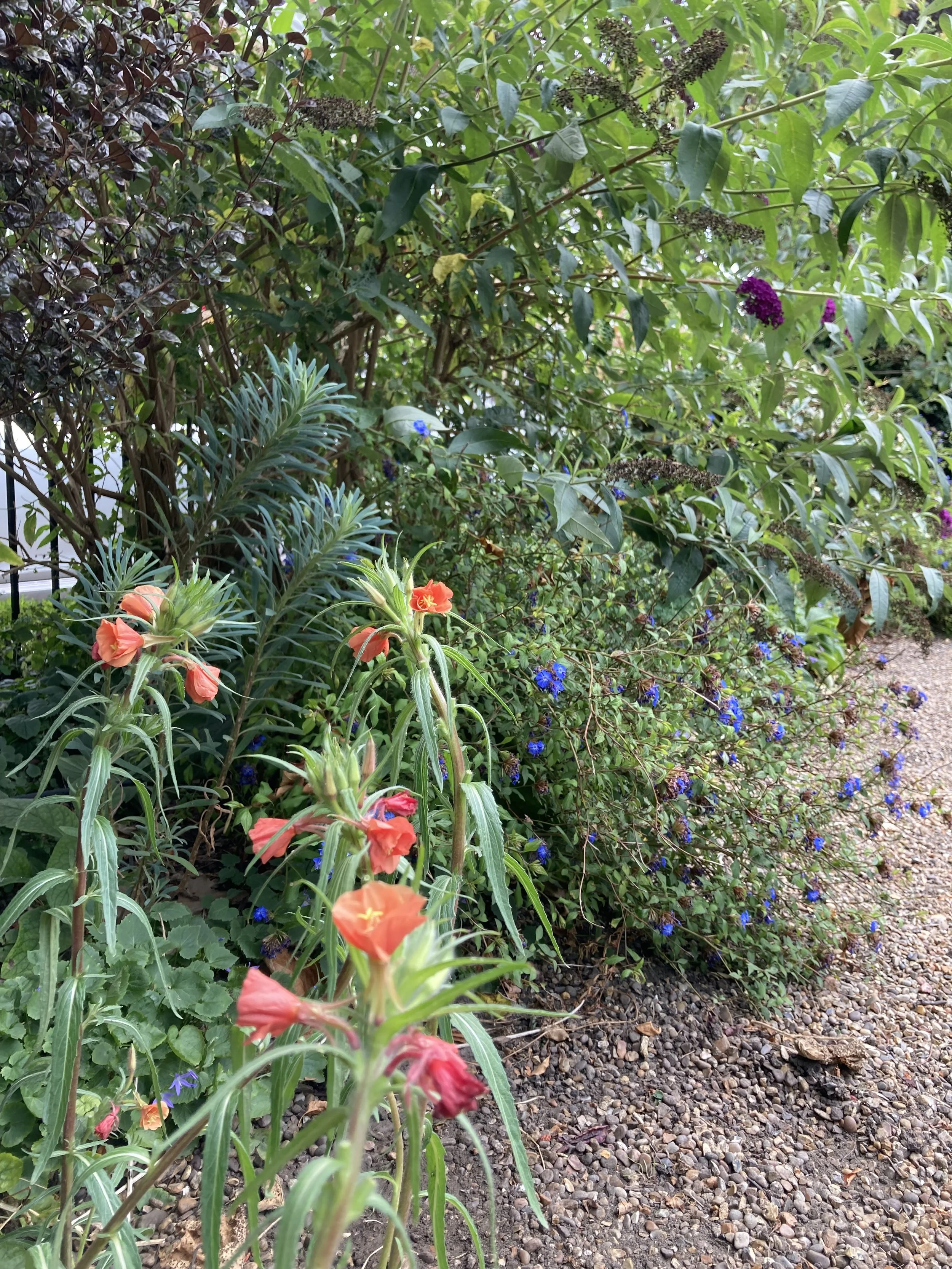 IMG_7992.jpeg