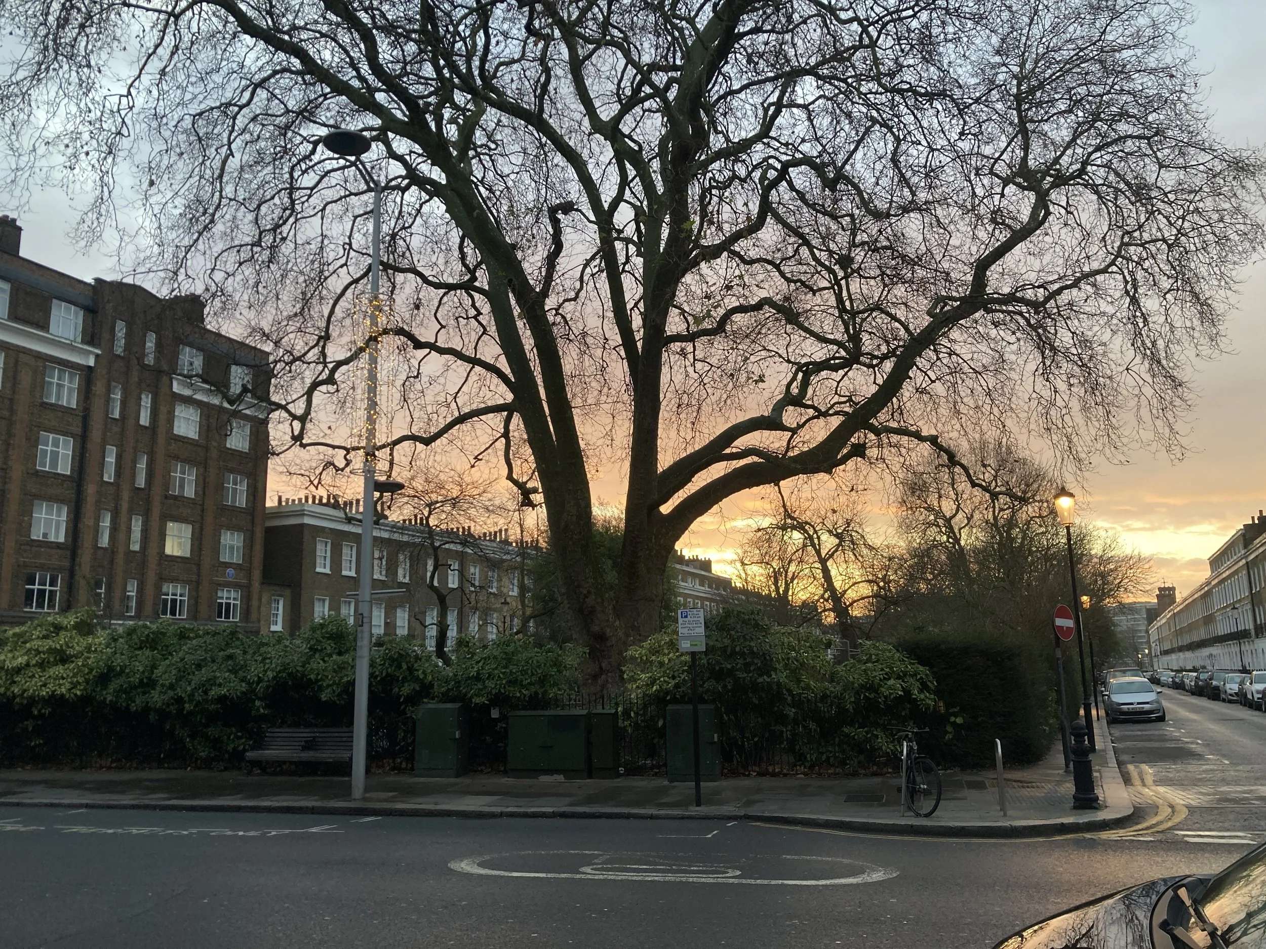 IMG_8994.jpeg