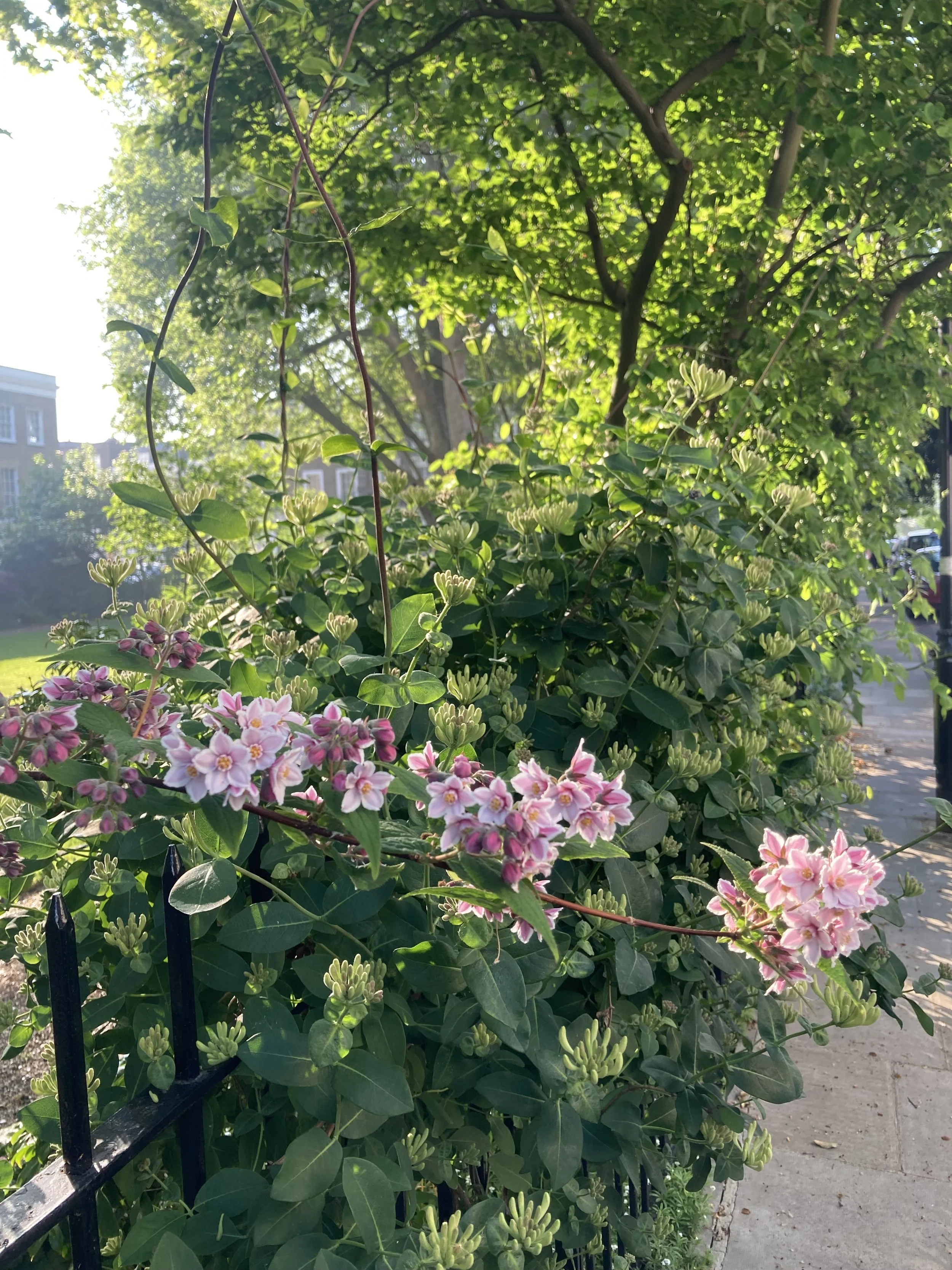 IMG_0478.jpeg