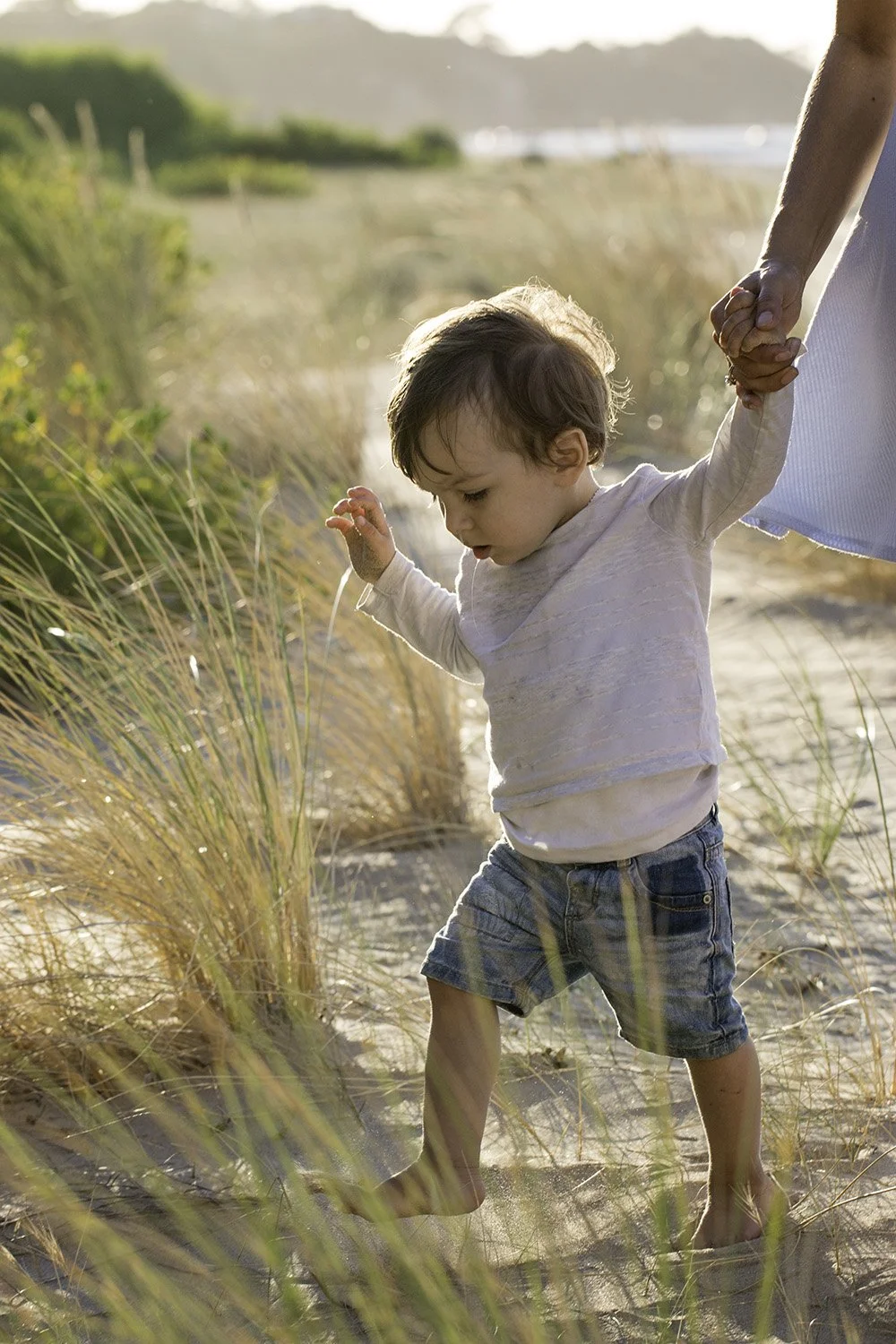 A young child walking barefoot through sand on a beach or dunes, holding an adult's hand, surrounded by tall grasses, with sunlight creating a warm, golden glow.