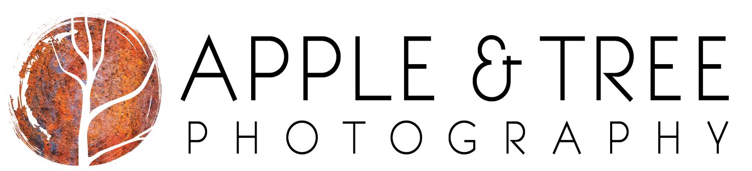 Apple and Tree Photography