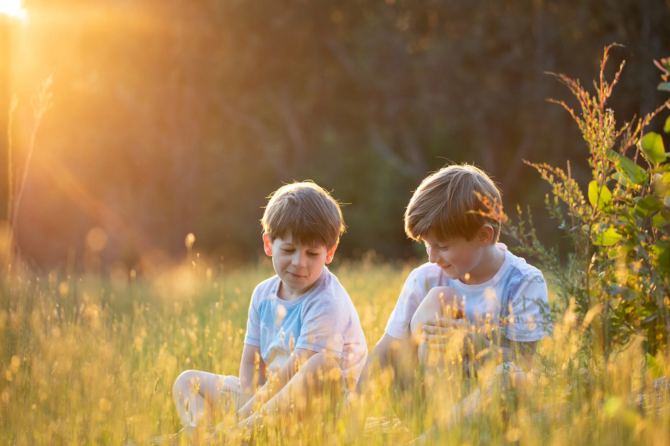Two young boys sitting in a grassy field during sunset, with sunlight casting a warm glow. They are both wearing light-colored T-shirts and appear to be enjoying a peaceful moment together.