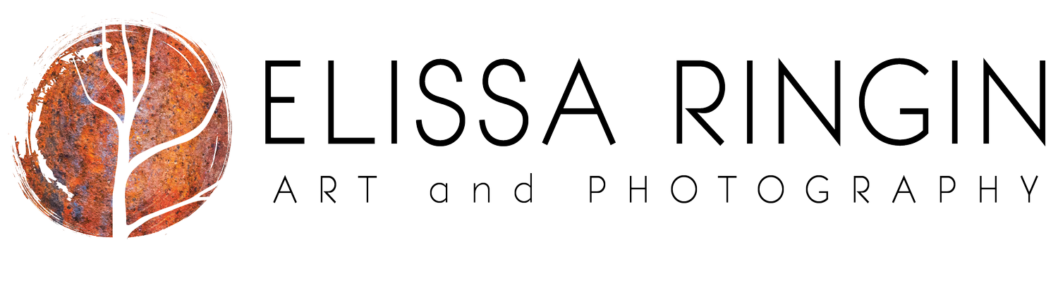 Apple and Tree Photography